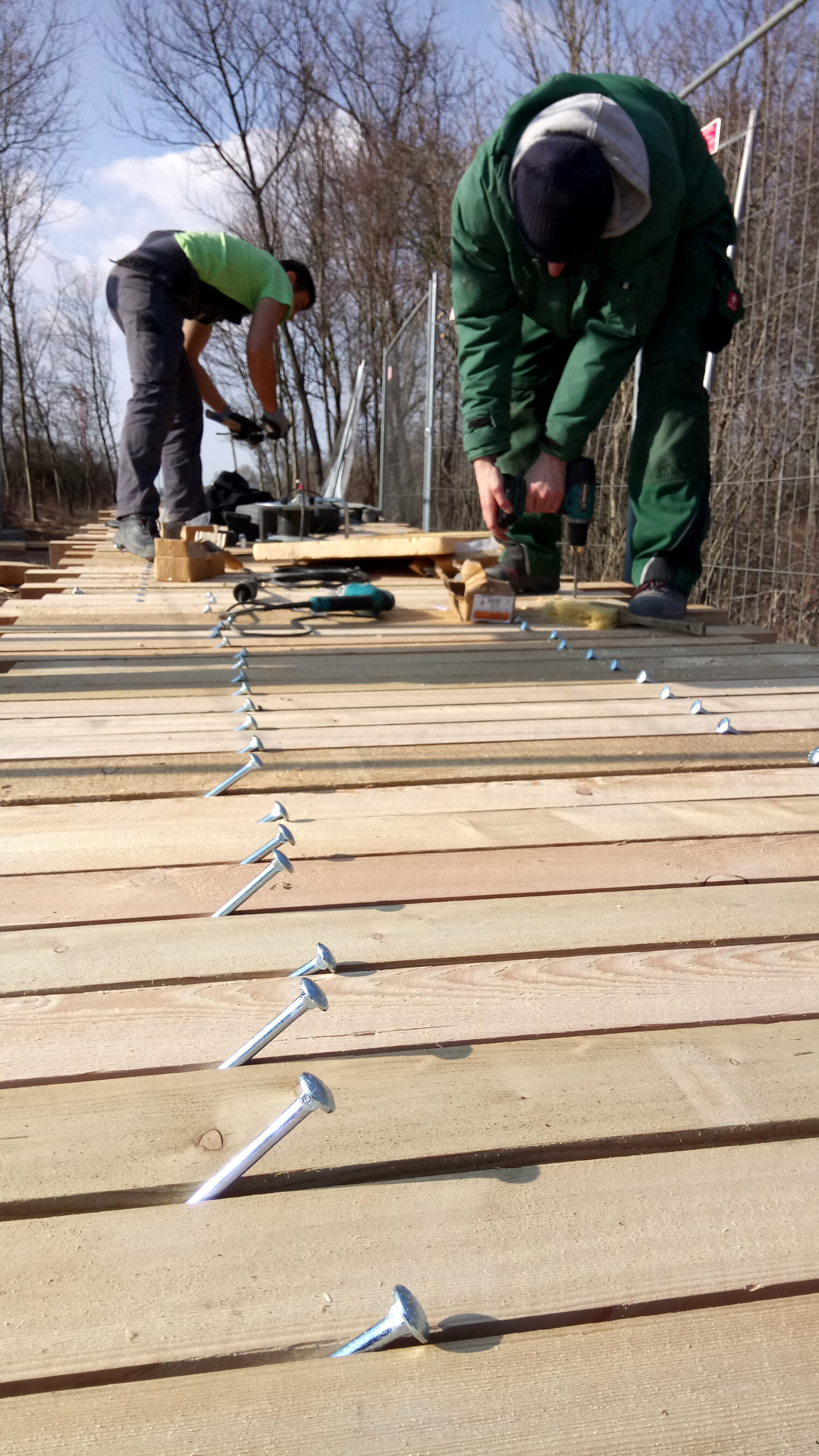 Holzstege im Gedenkwald
