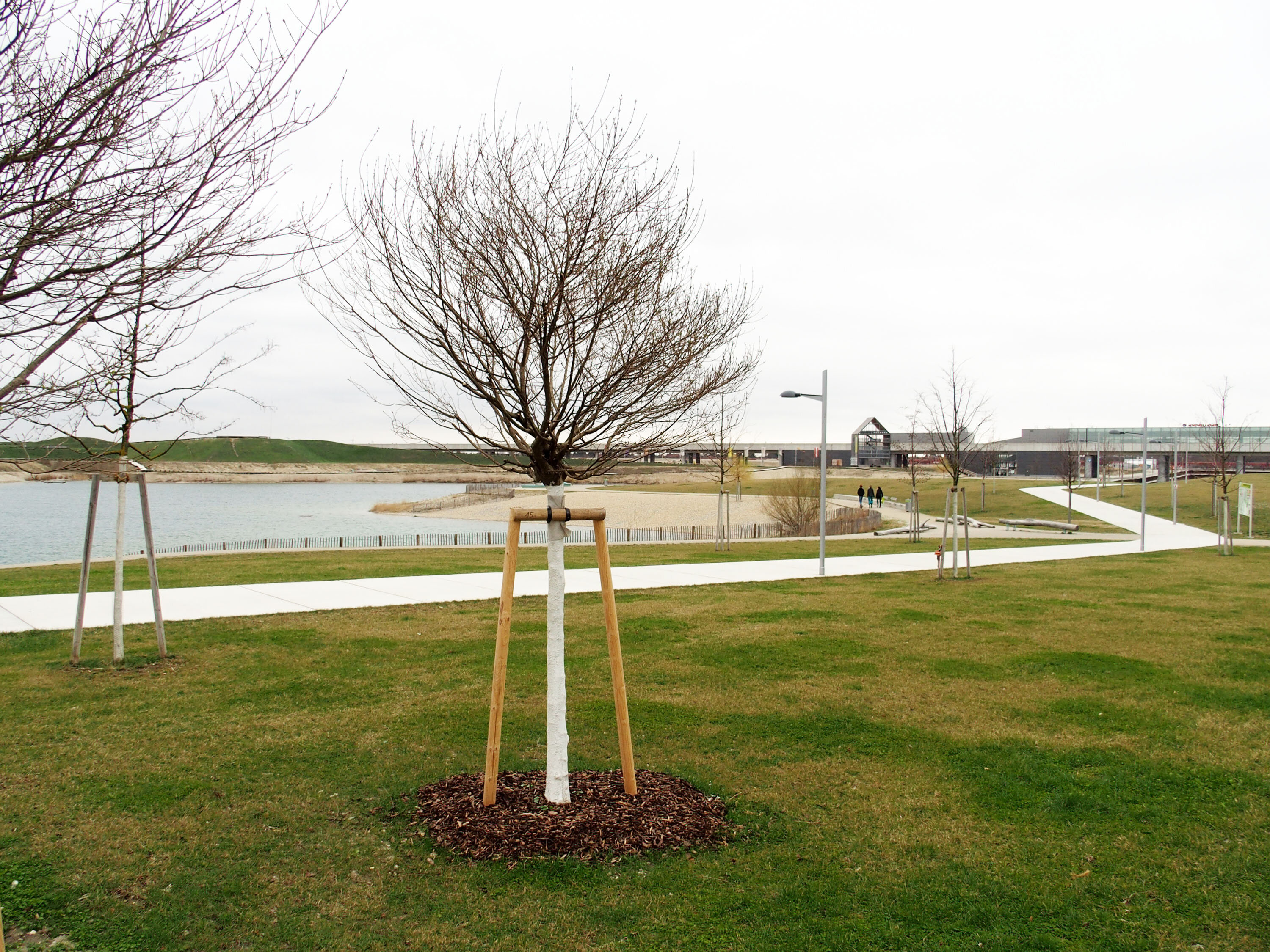 Schon gewusst, dass...