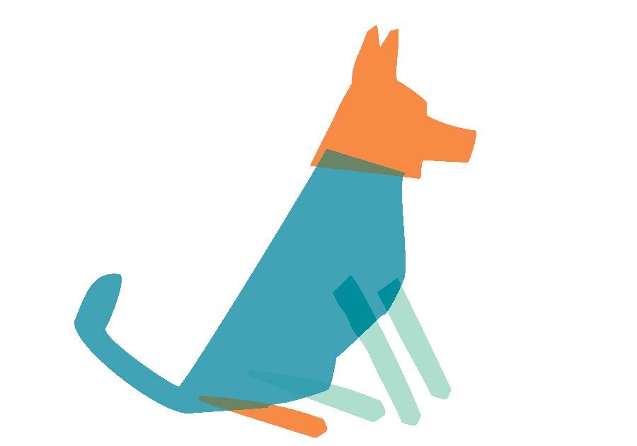 Hundetag aspern Seestadt