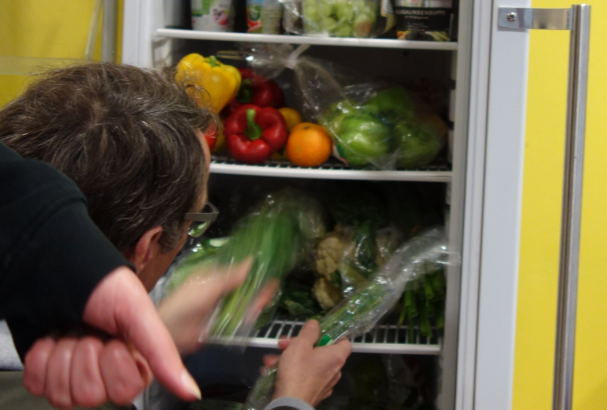 Ein offener Kühlschrank für die Seestadt 