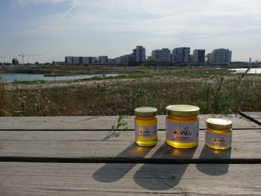 Tag des offenen Bienenstocks