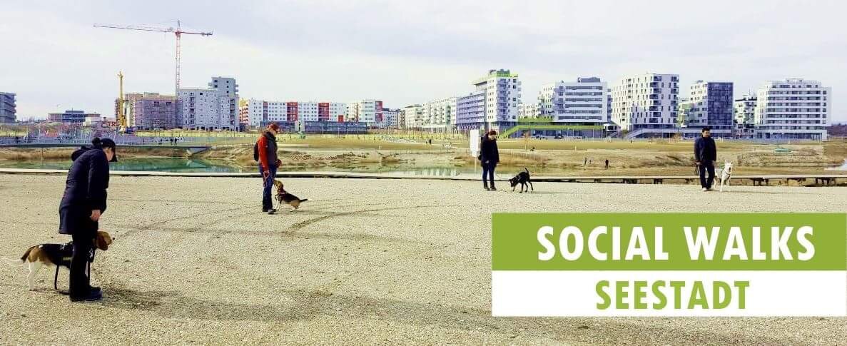 Social Walks Seestadt