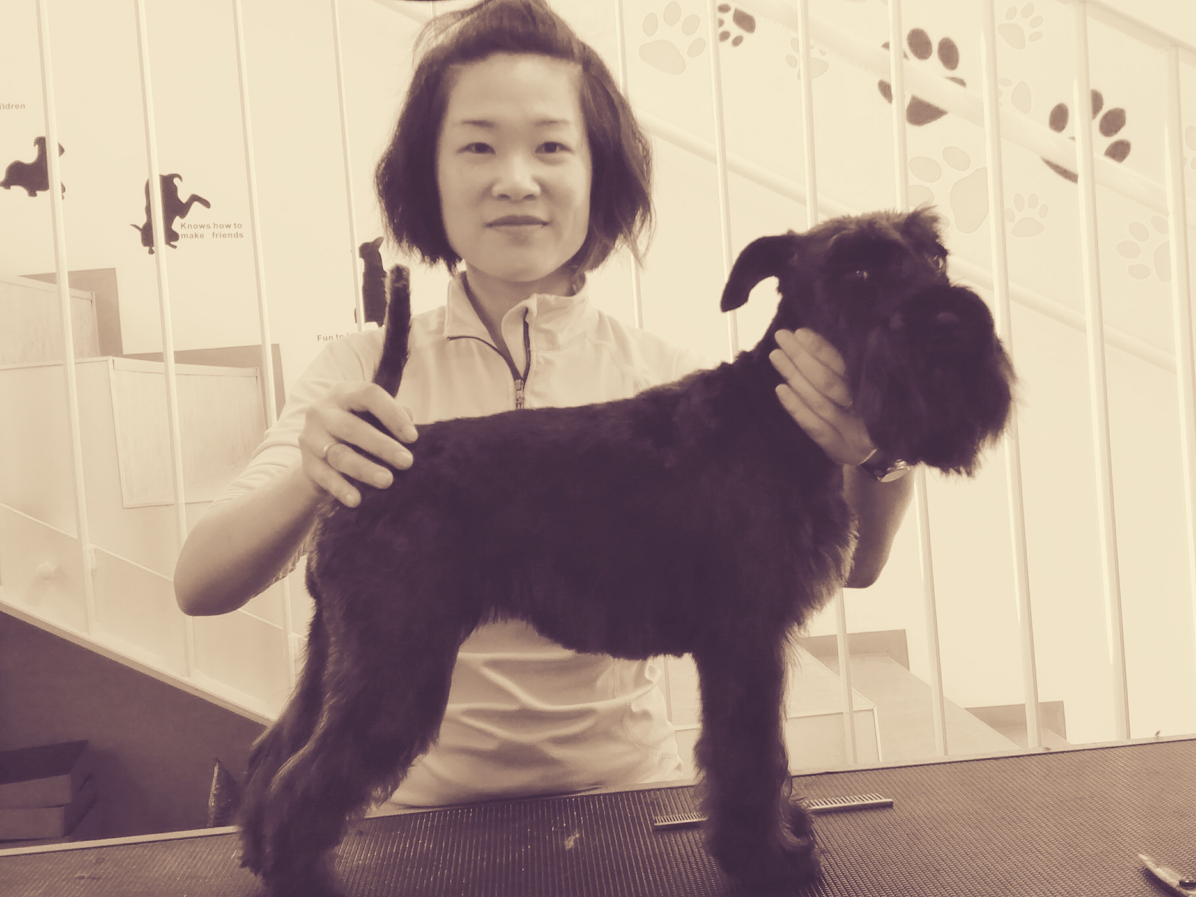 Unternehmen des Monats – Hundestyling Seestadt