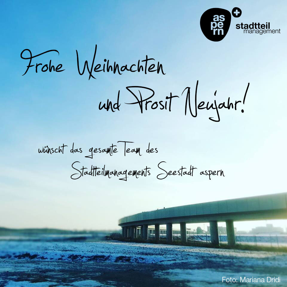 Frohe Weihnachten und einen guten Rutsch ins neue Jahr!