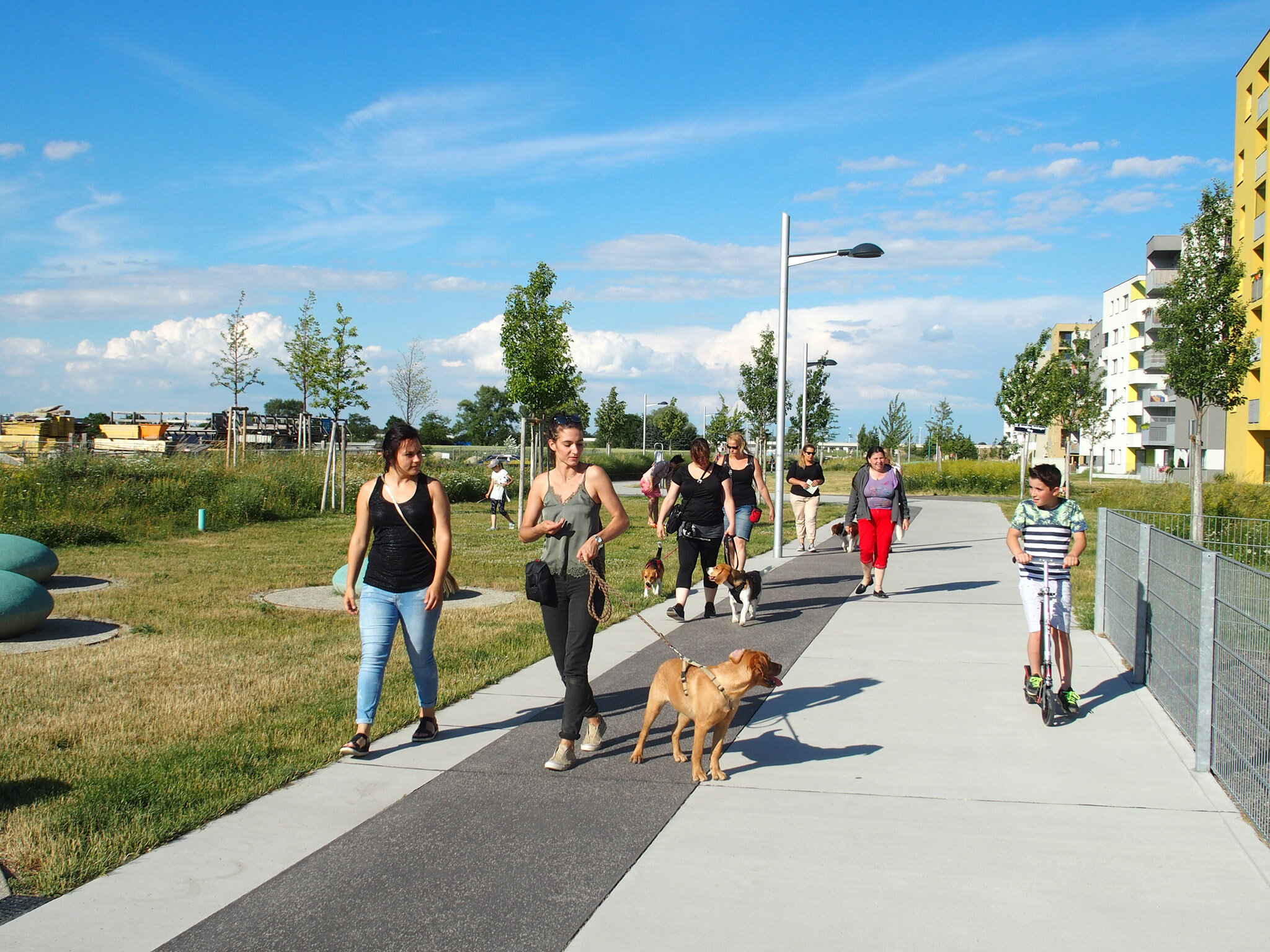 Social Walk in der Seestadt