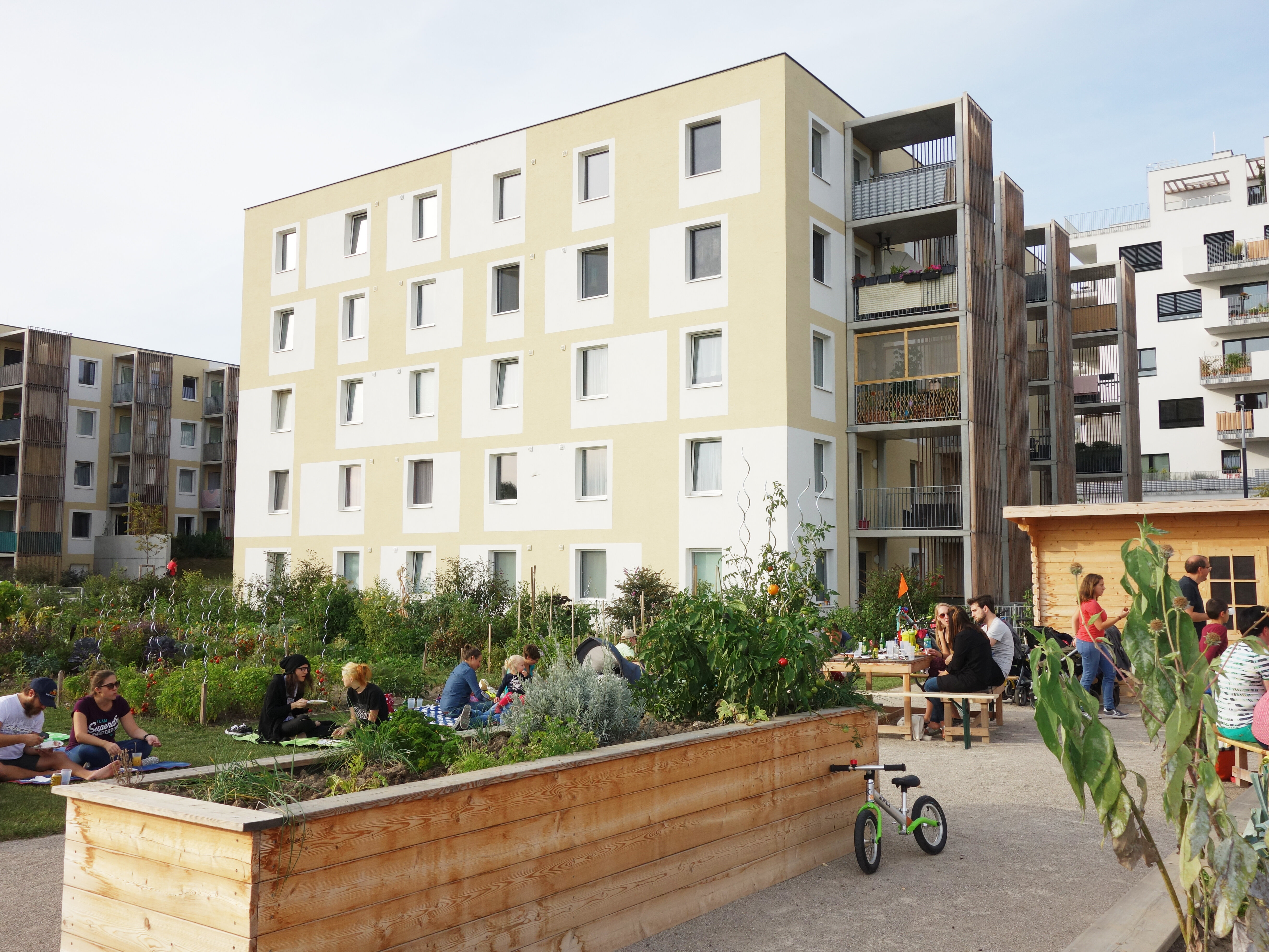 Initiative Gemeinschaftsgarten