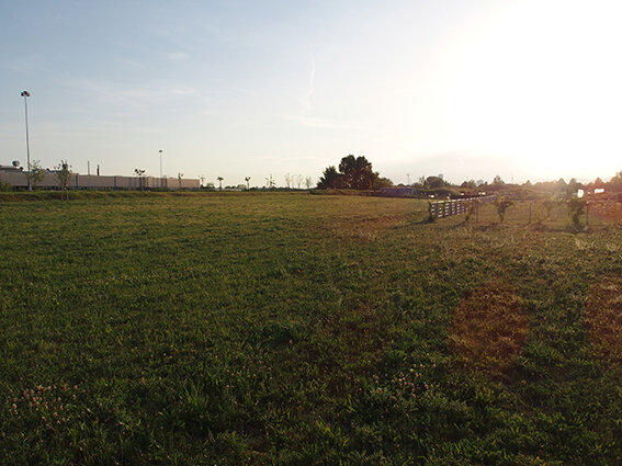 Fläche des neuen Gemeinschaftsgartens