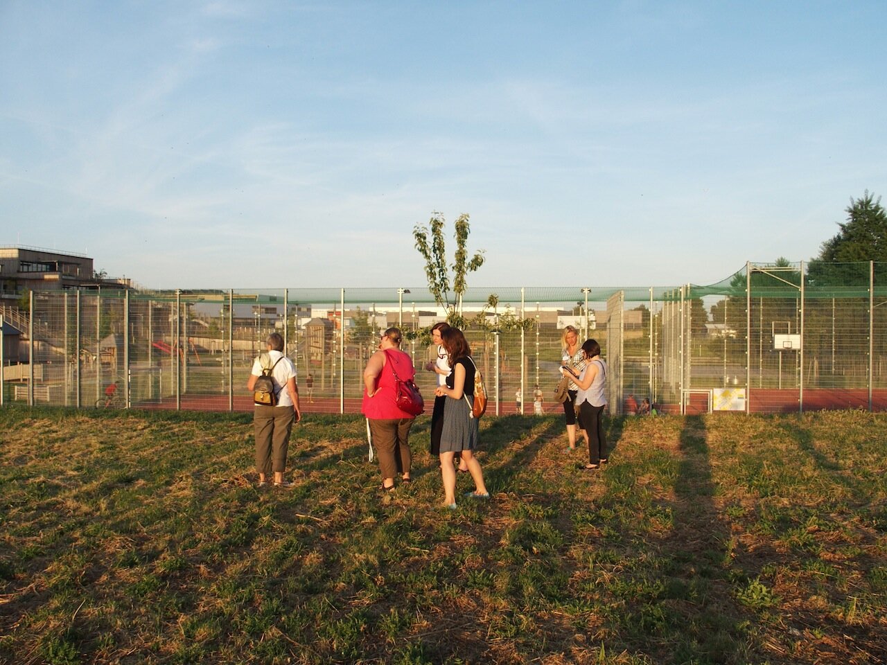 Junge Obstbäume richtig schneiden!