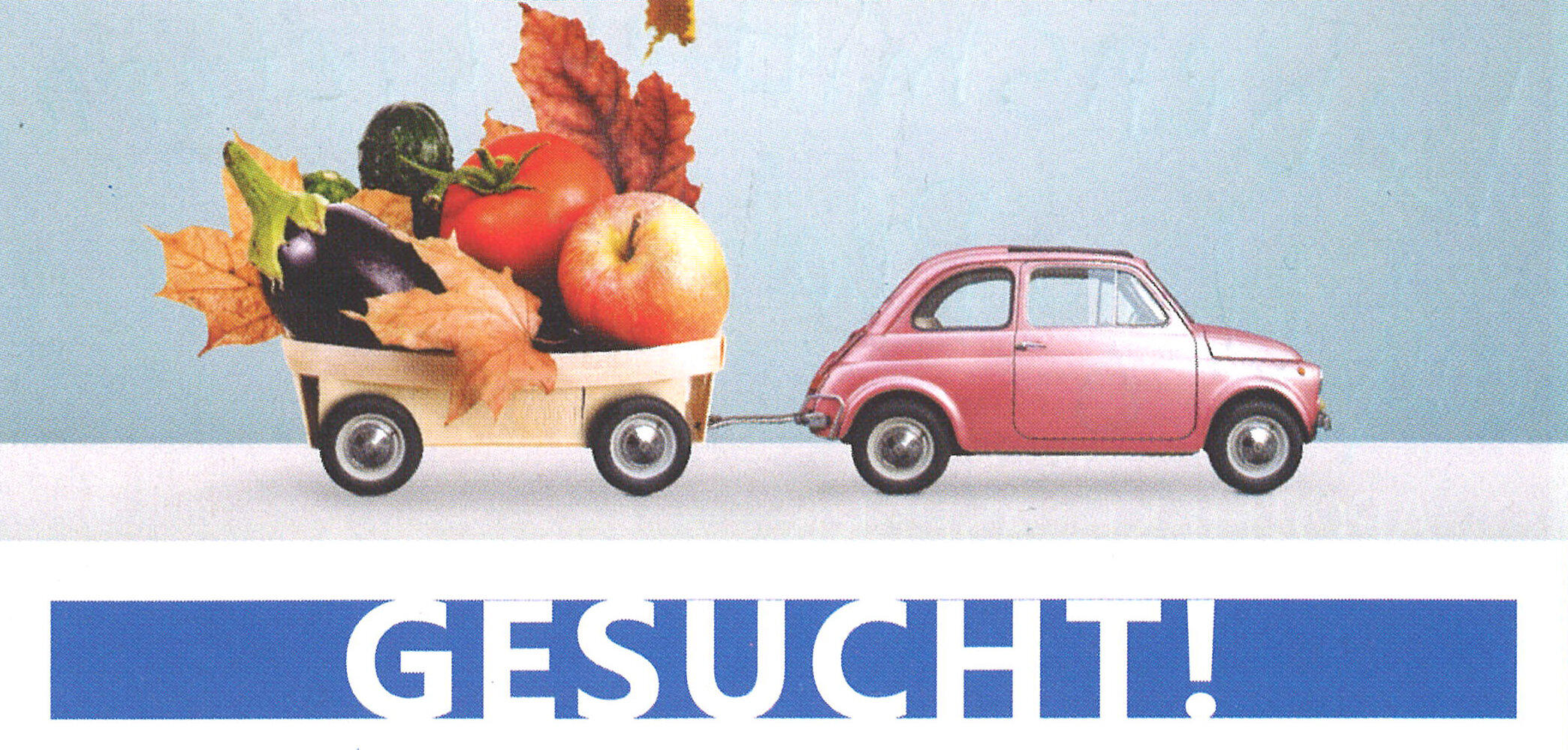 Die Foodsharing-Initiatiave sucht FahrerInnen