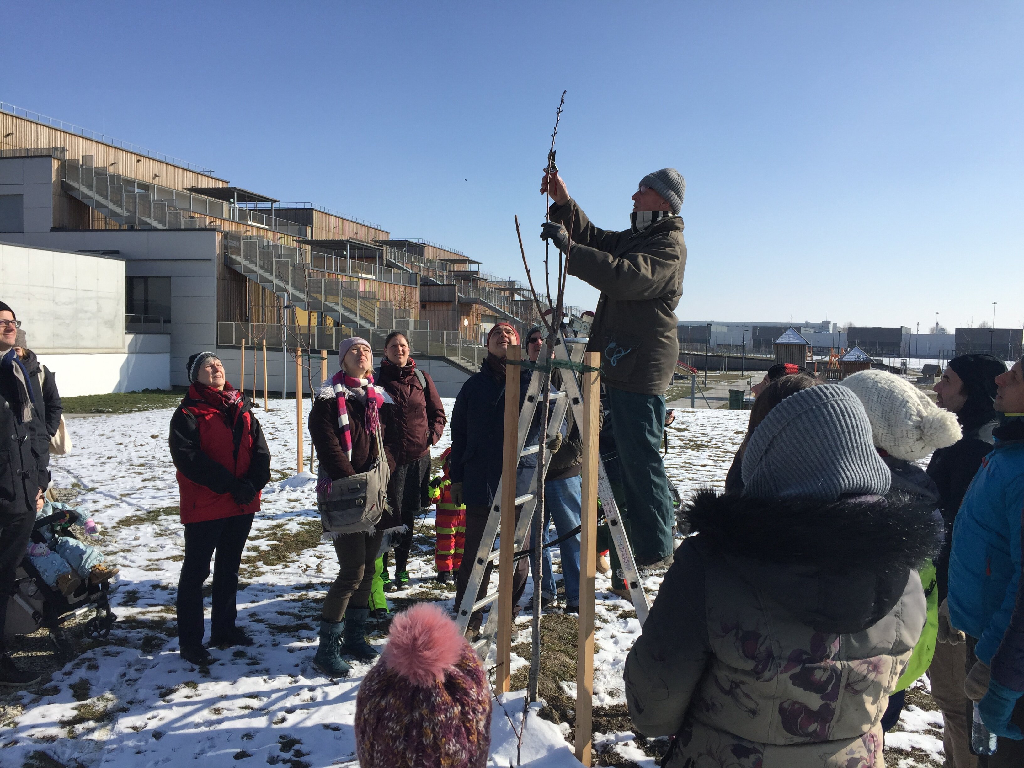 Seestadt Blitzlicht #46