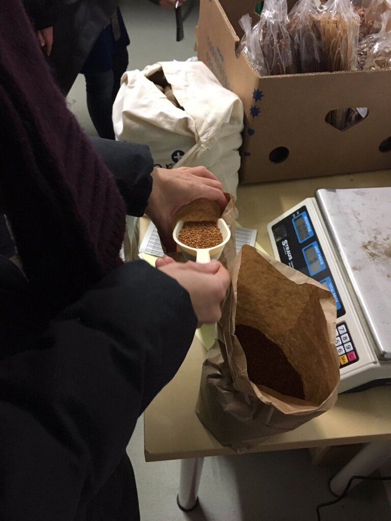 SeeFoodcoop beim Lagerdienst