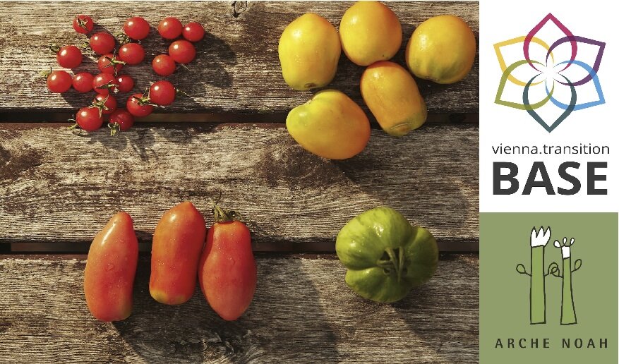 Bio-Jungpflanzenmarkt in der Seestadt