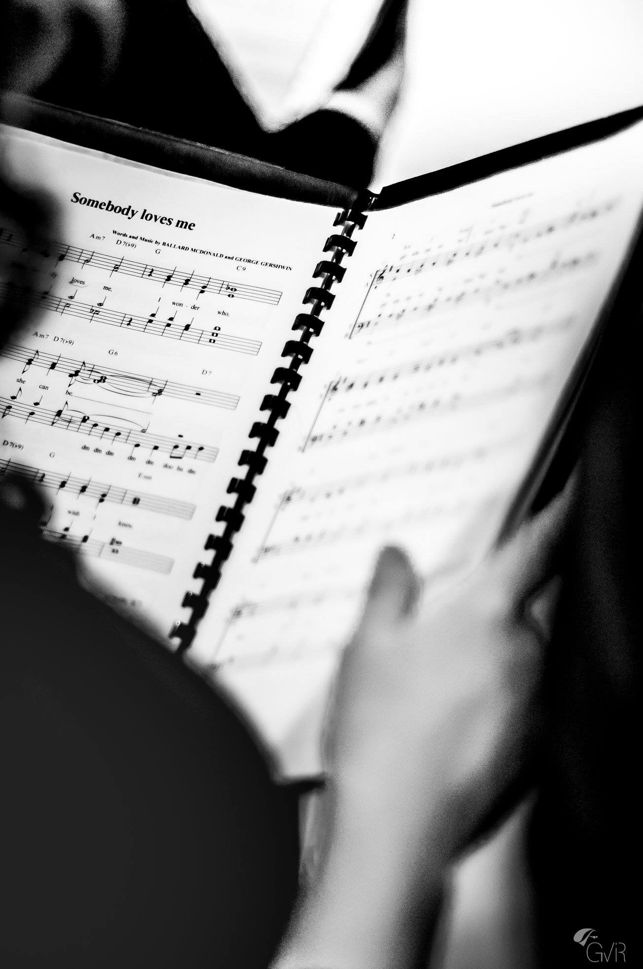 Vienna Lakeside Music Academy - The stage is yours!