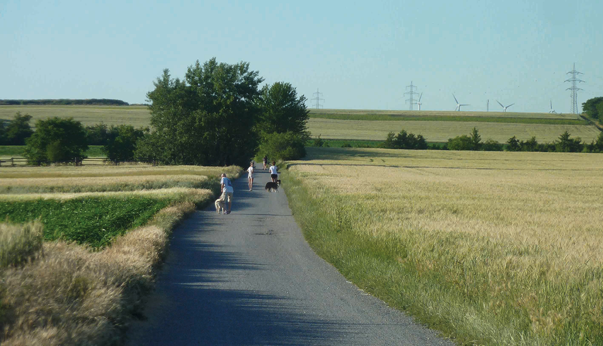 Grünraumspange im Norden Wiens: Name gesucht!