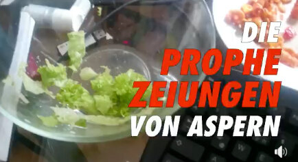 Stil aus einem Tipp-Video der notgalerie