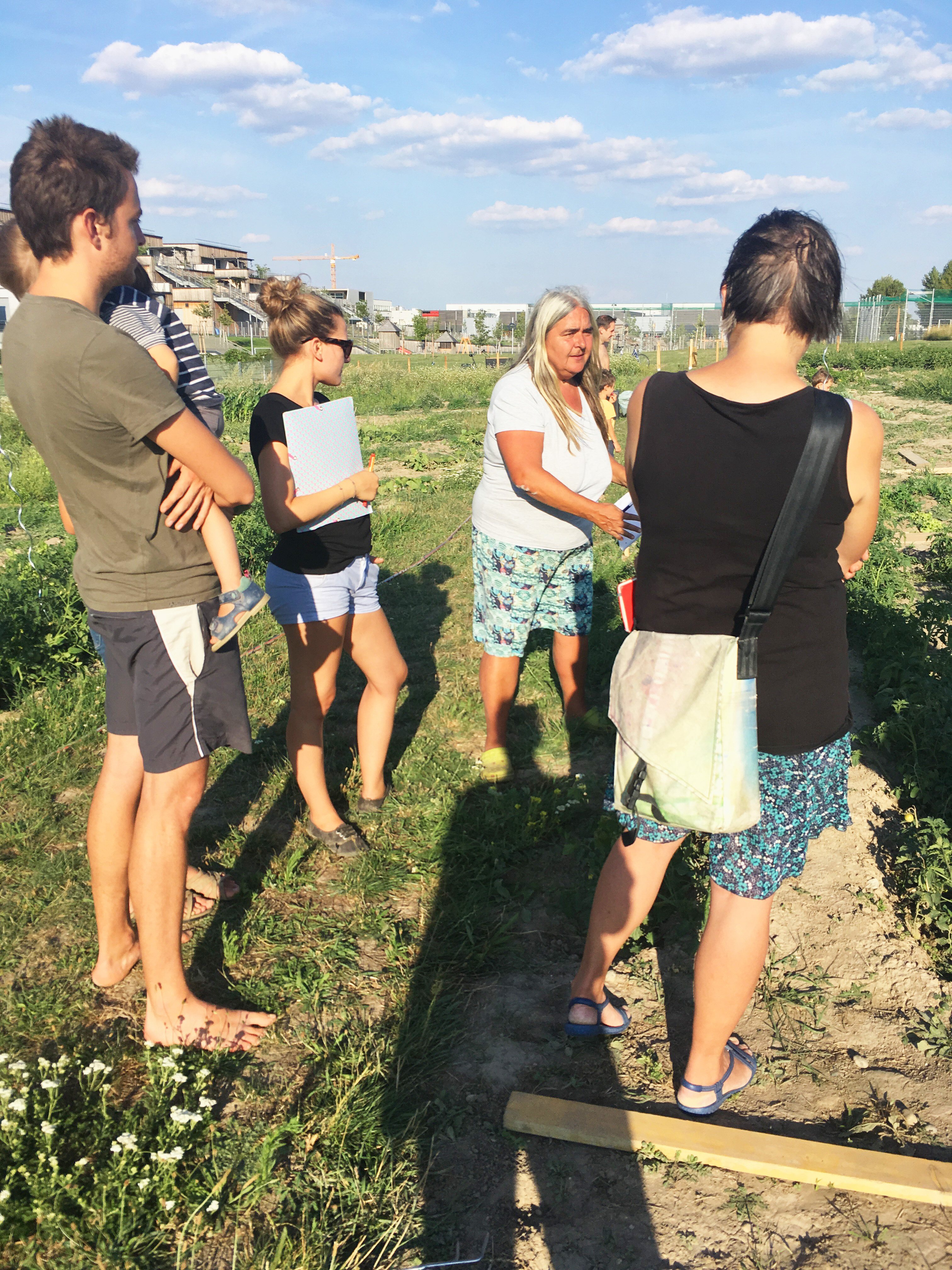 Gartensprechstunde im Gemeinschaftsgarten Kraut und Blüten.