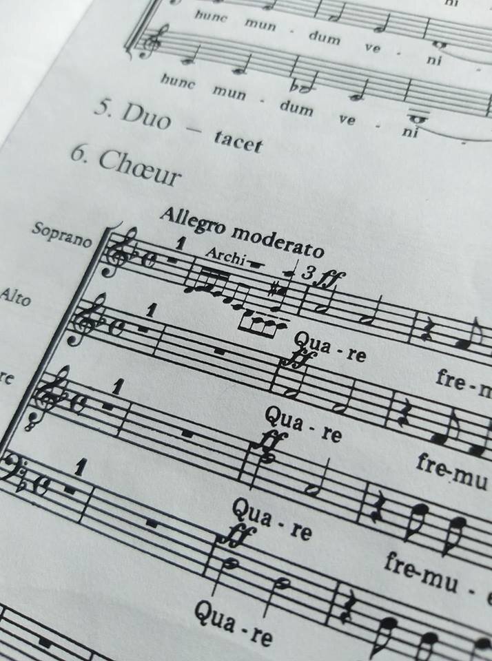 Das Semester der Vienna Lakeside Music Academy hat begonnen!