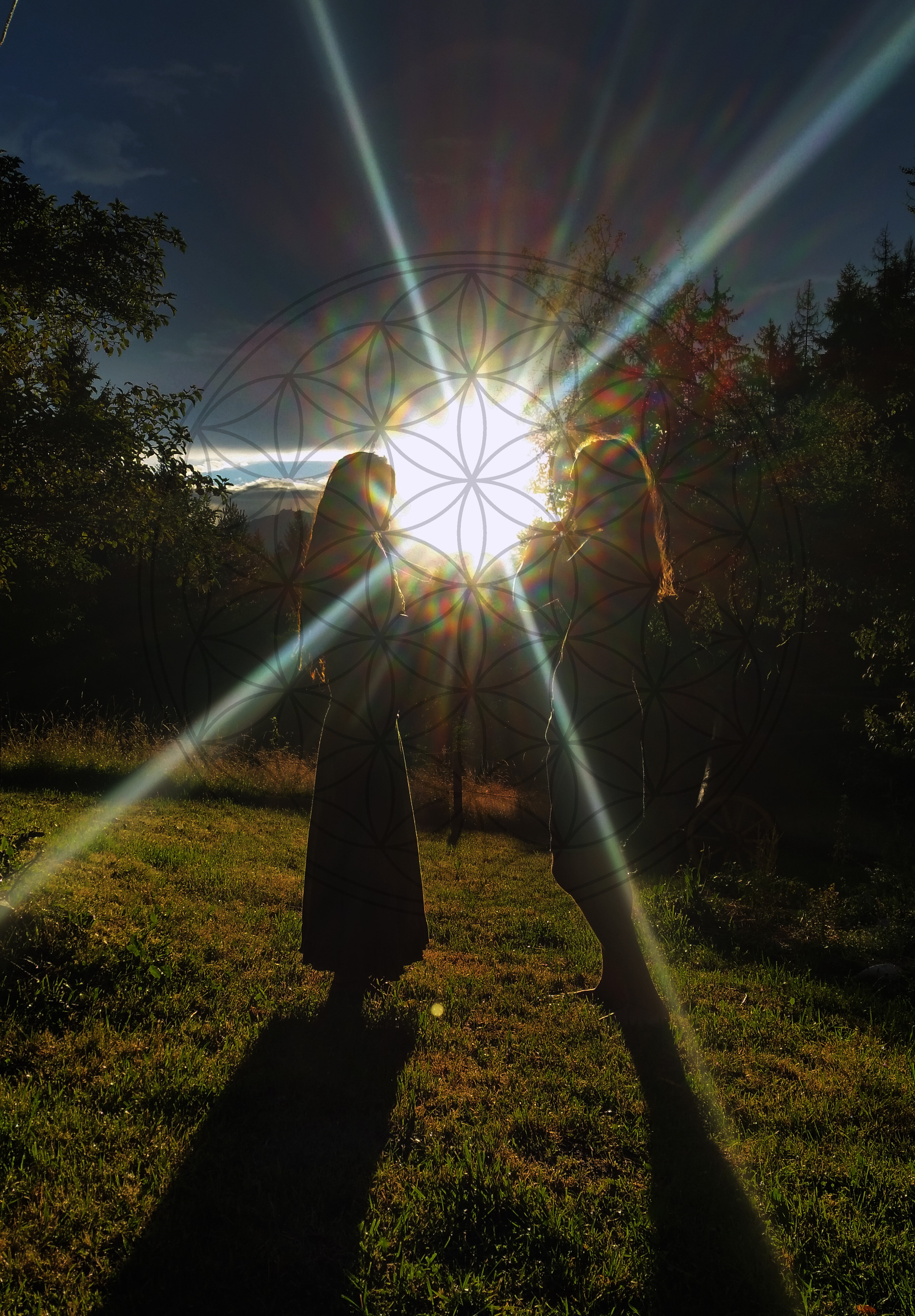 Ein neuer Singkreis für die Seestadt