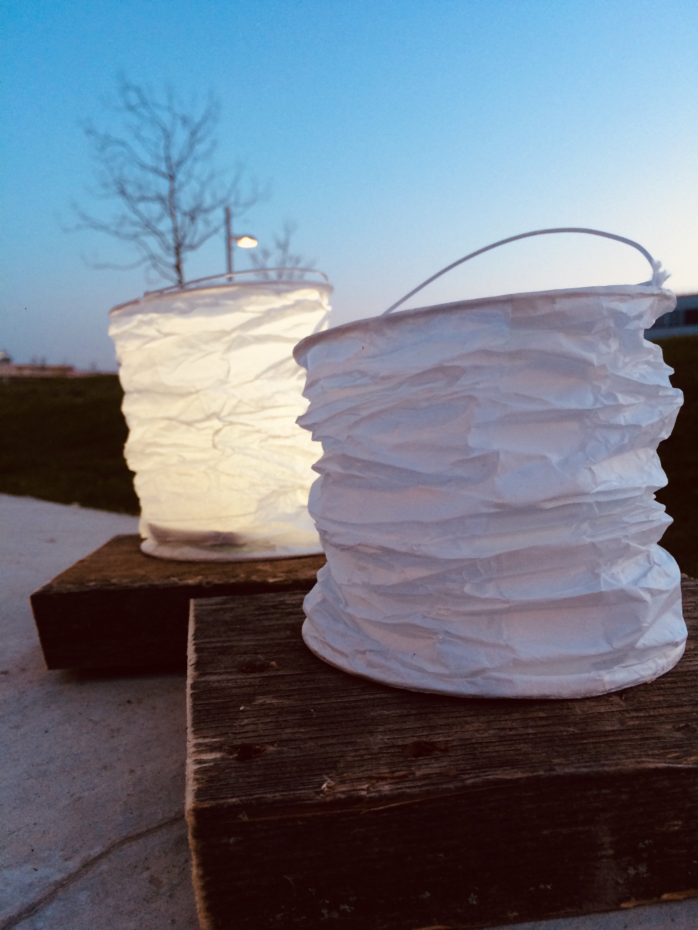 Holen Sie sich einen Lampion aus dem Seestadt-Steg