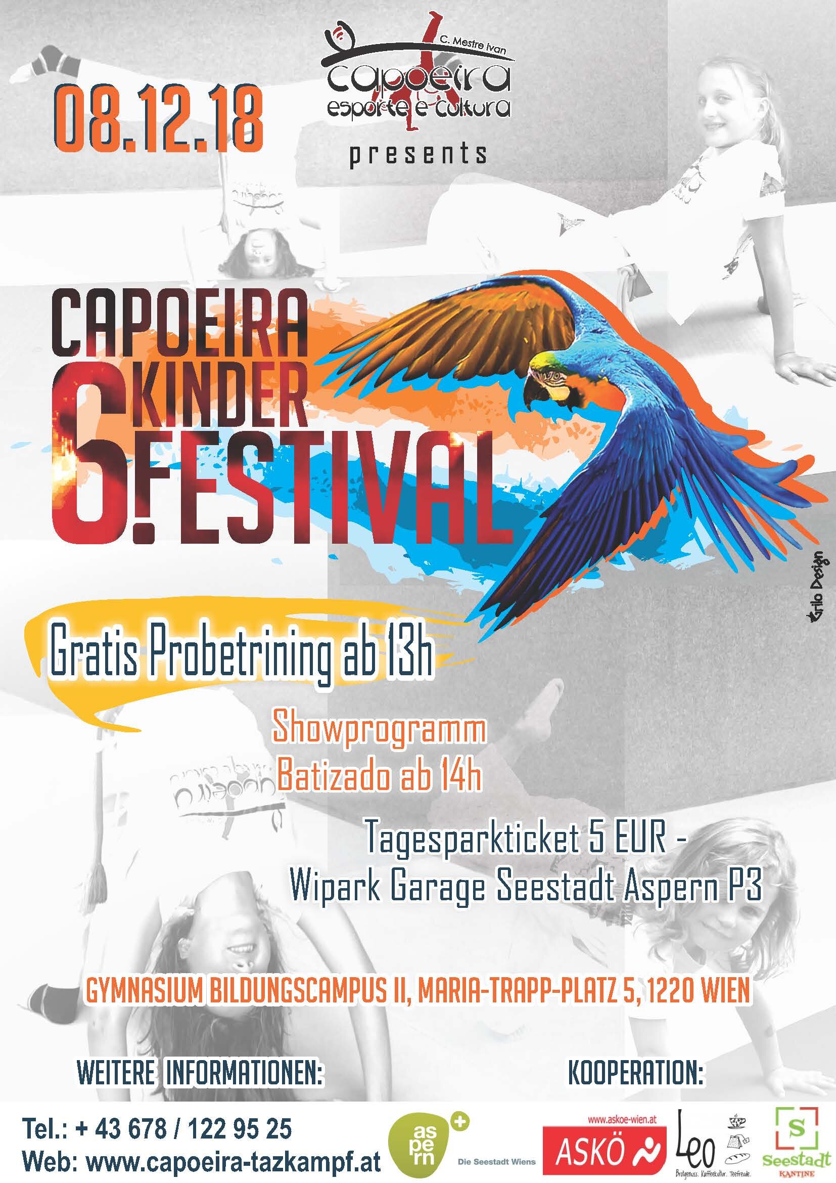 Capoeira Kinder Festival