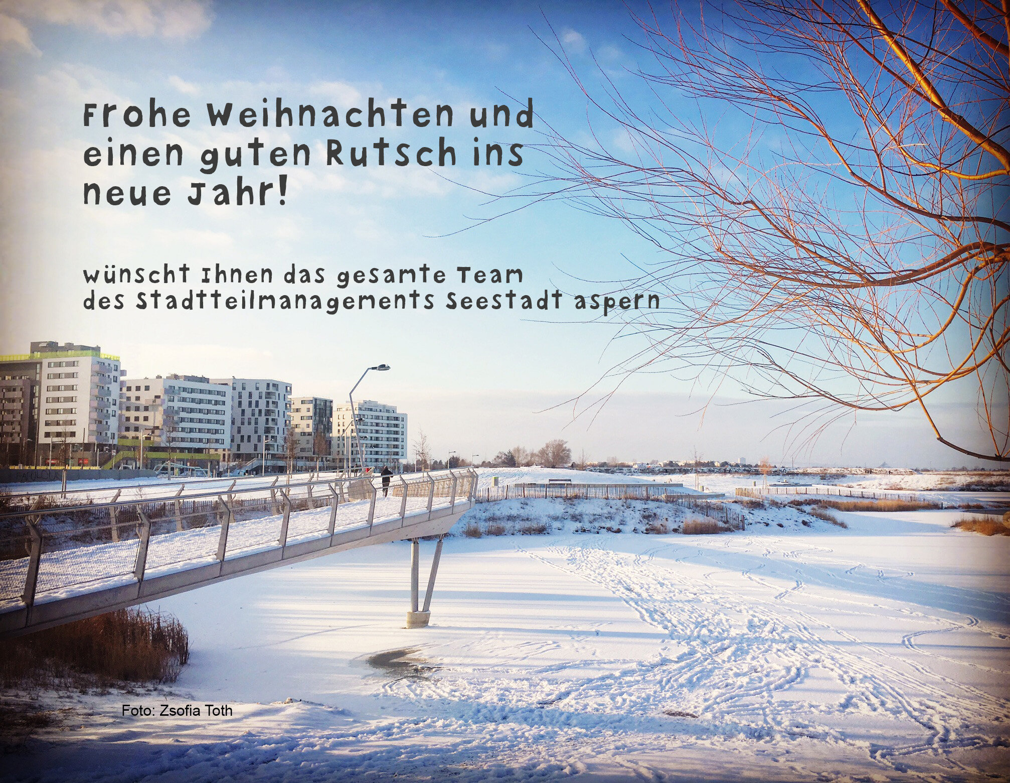 Das Stadtteilmanagement wünscht Ihnen besinnliche Feiertage & Prosit Neujahr!