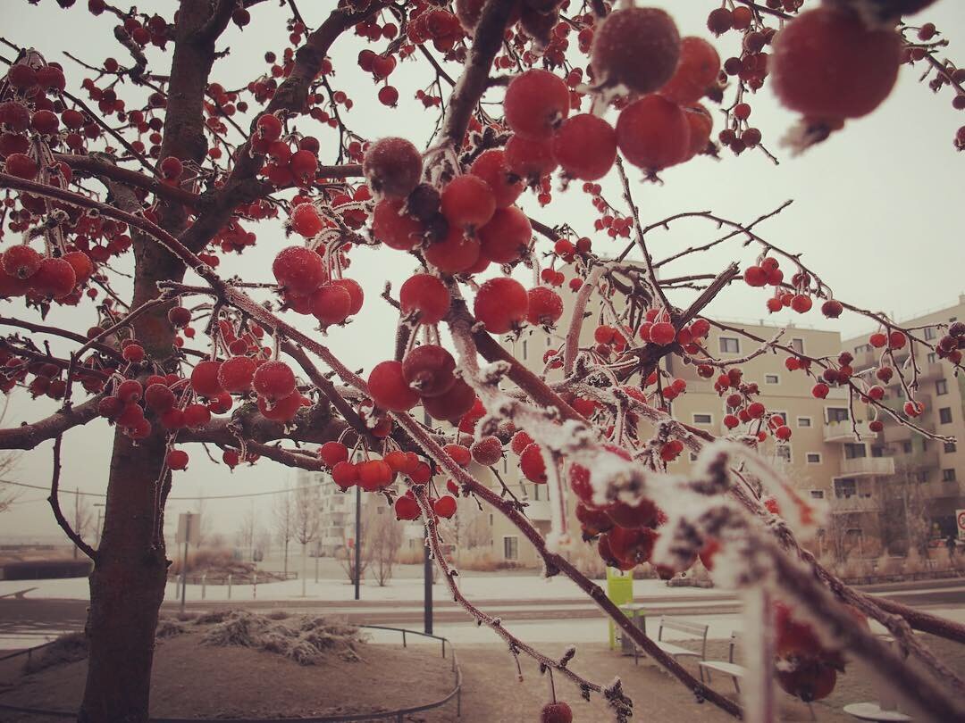 Winterliche Seestadt