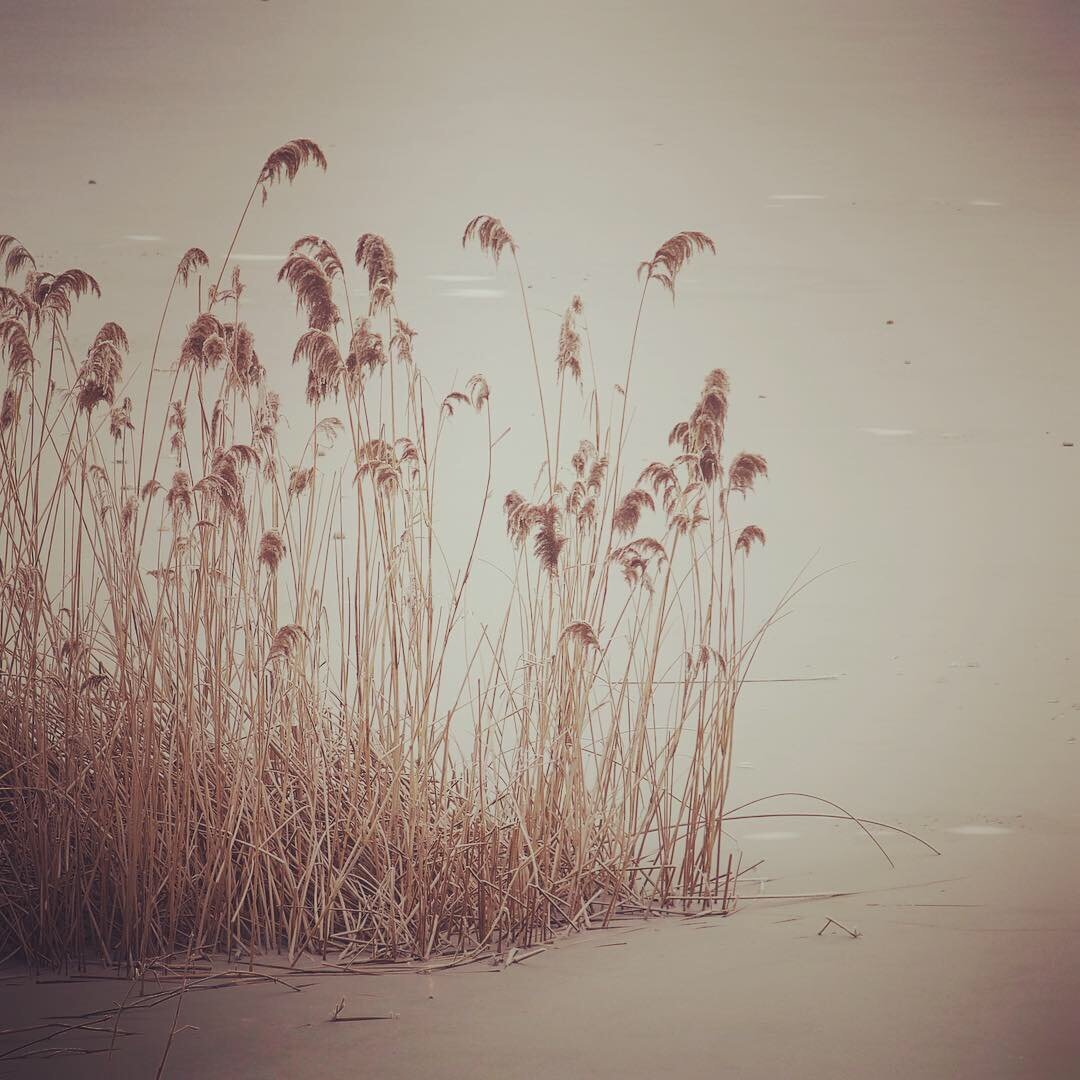 Winterliche Seestadt