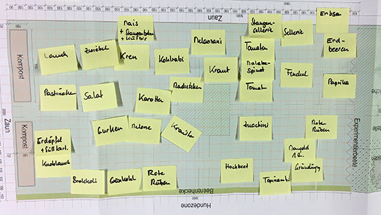 Gemeinschaftsgarten „Kraut und Blüten“ startet in die zweite Saison!