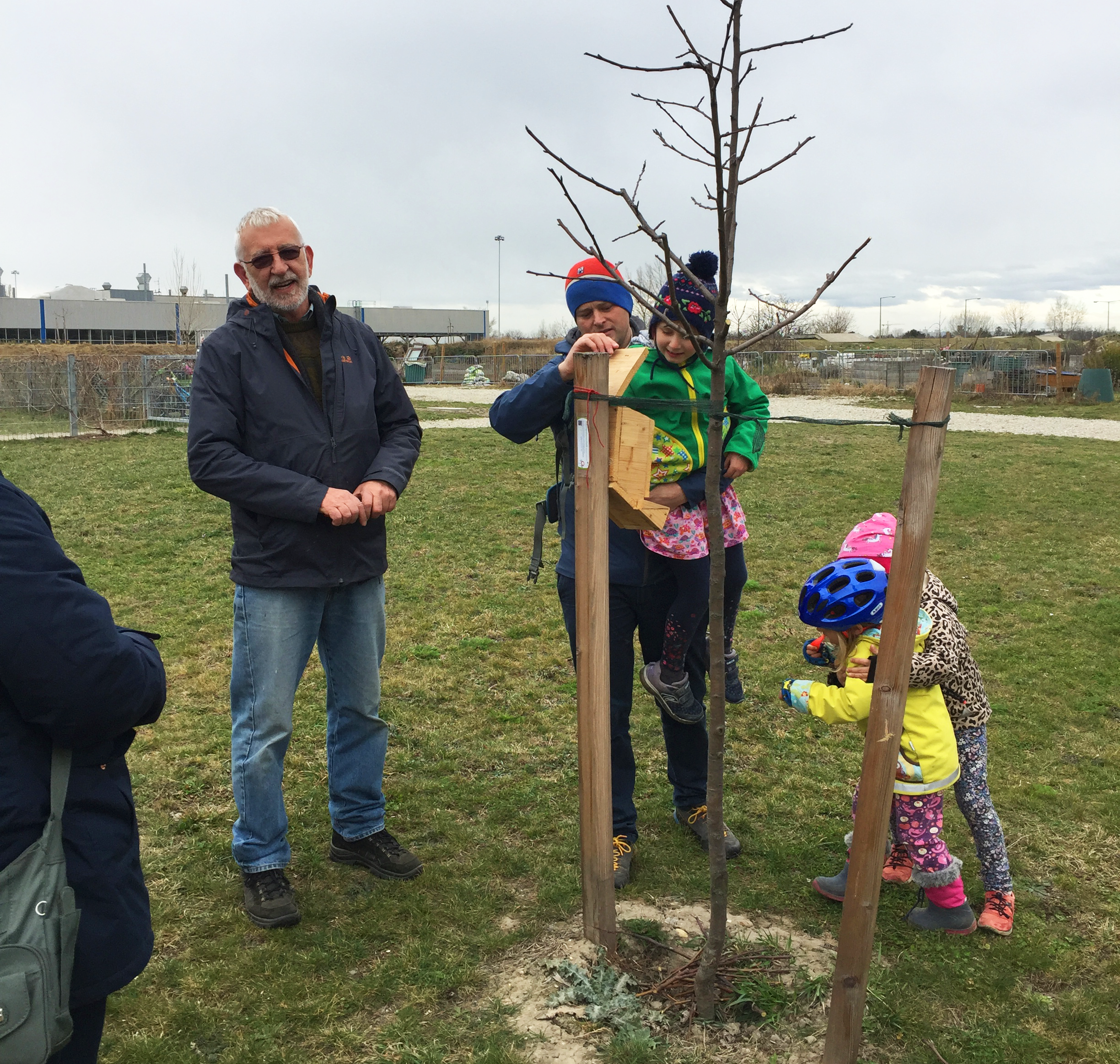 Obstbaumschnitt März 2019