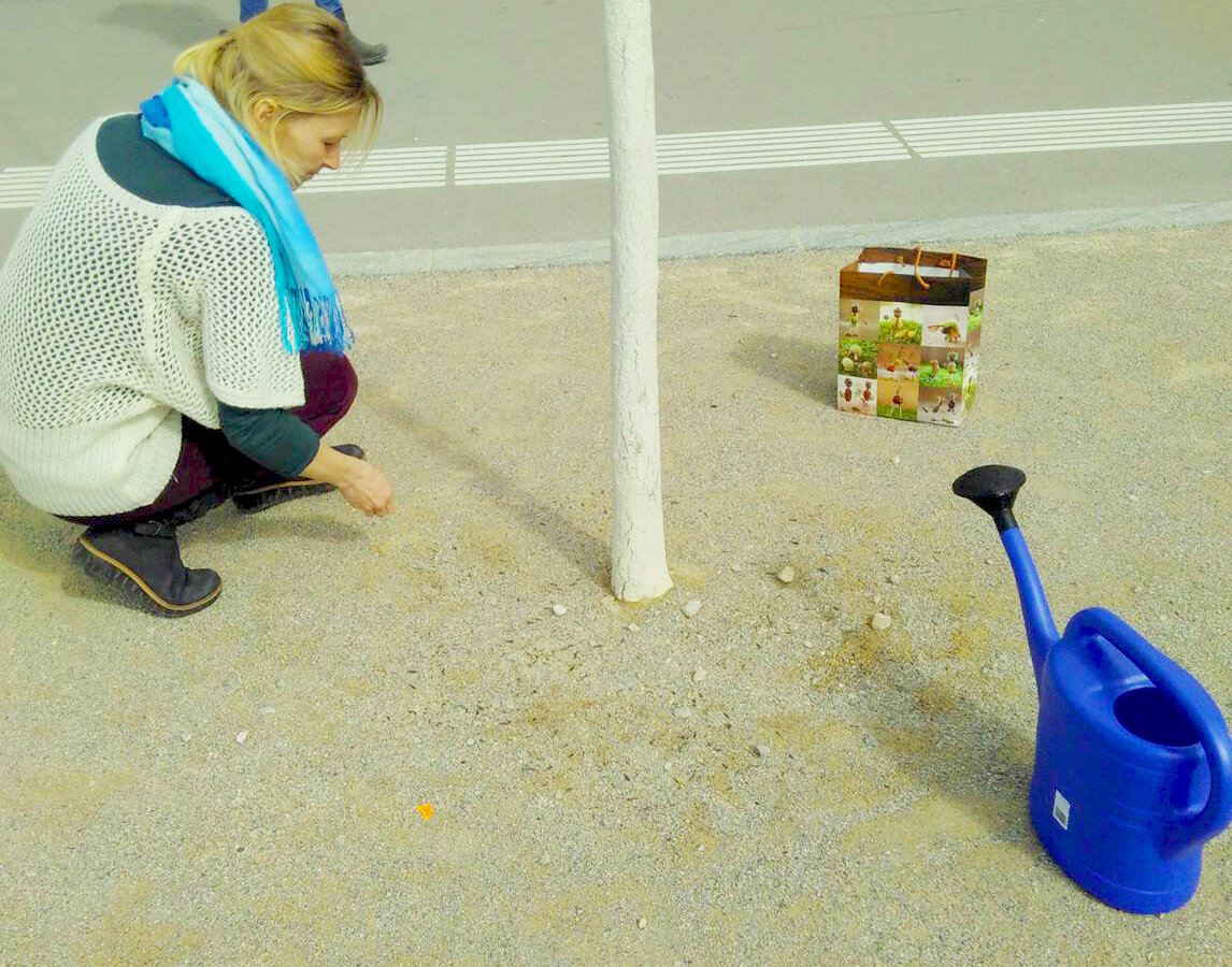 Spontan Grün lässt die Seestadt blühen