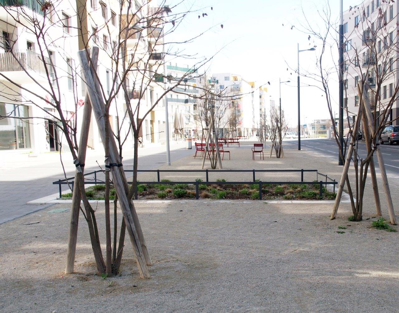 Seestadt-Schatz: Gestaltungszonen 