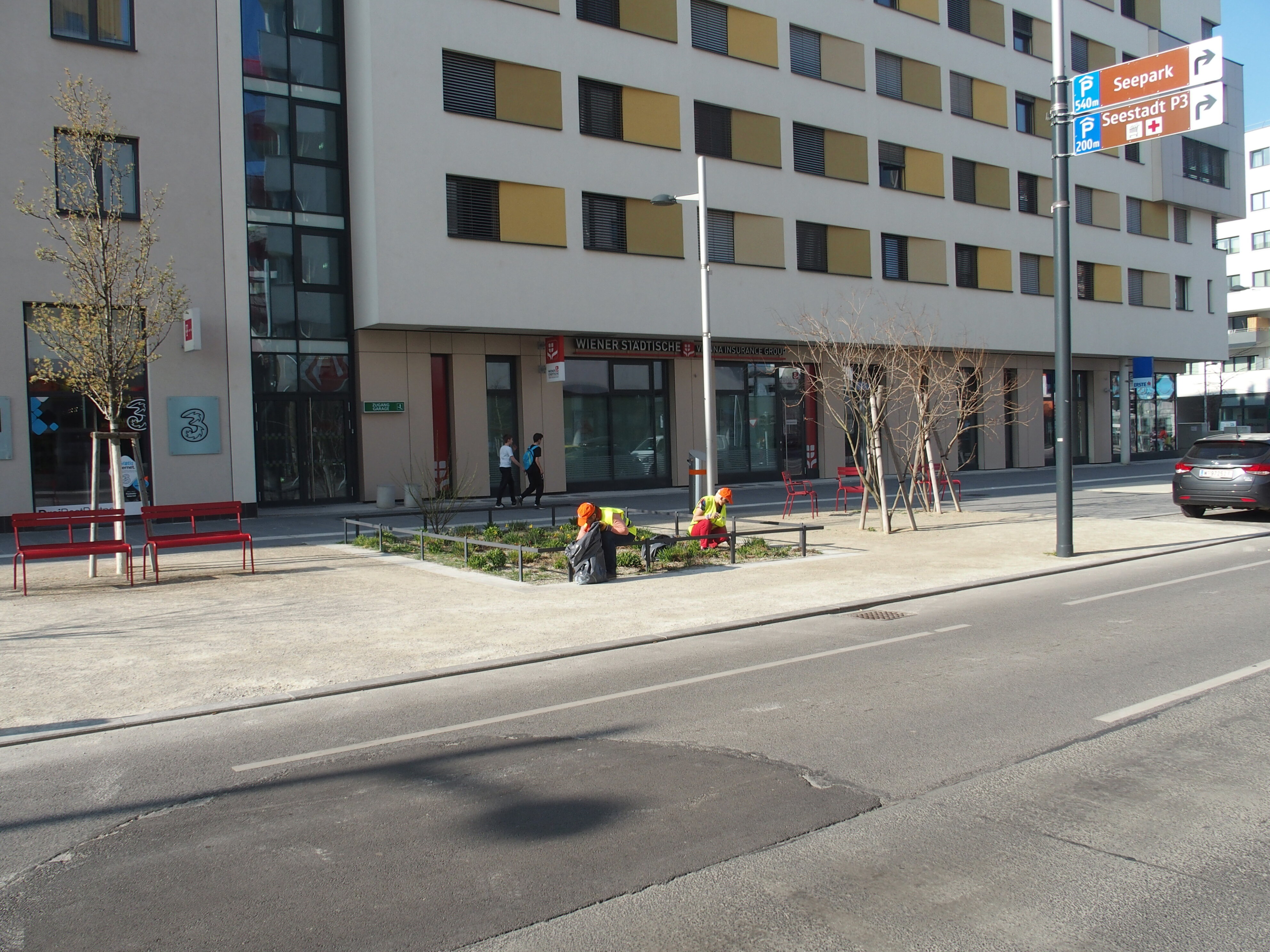 TeilnehmerInnen befreien das Grün in den Gestaltungszonen von Müll. 