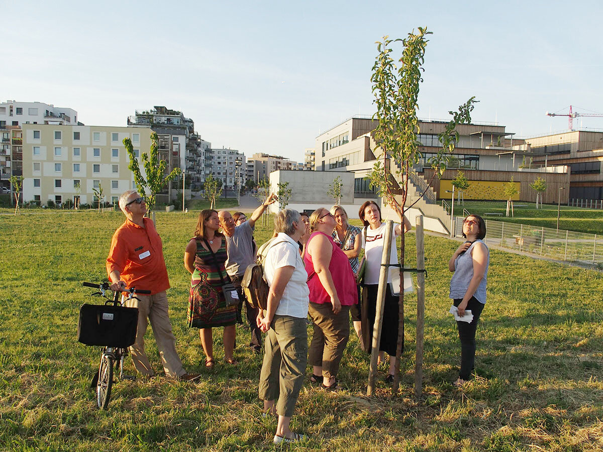 Die Seestadt ist essbar