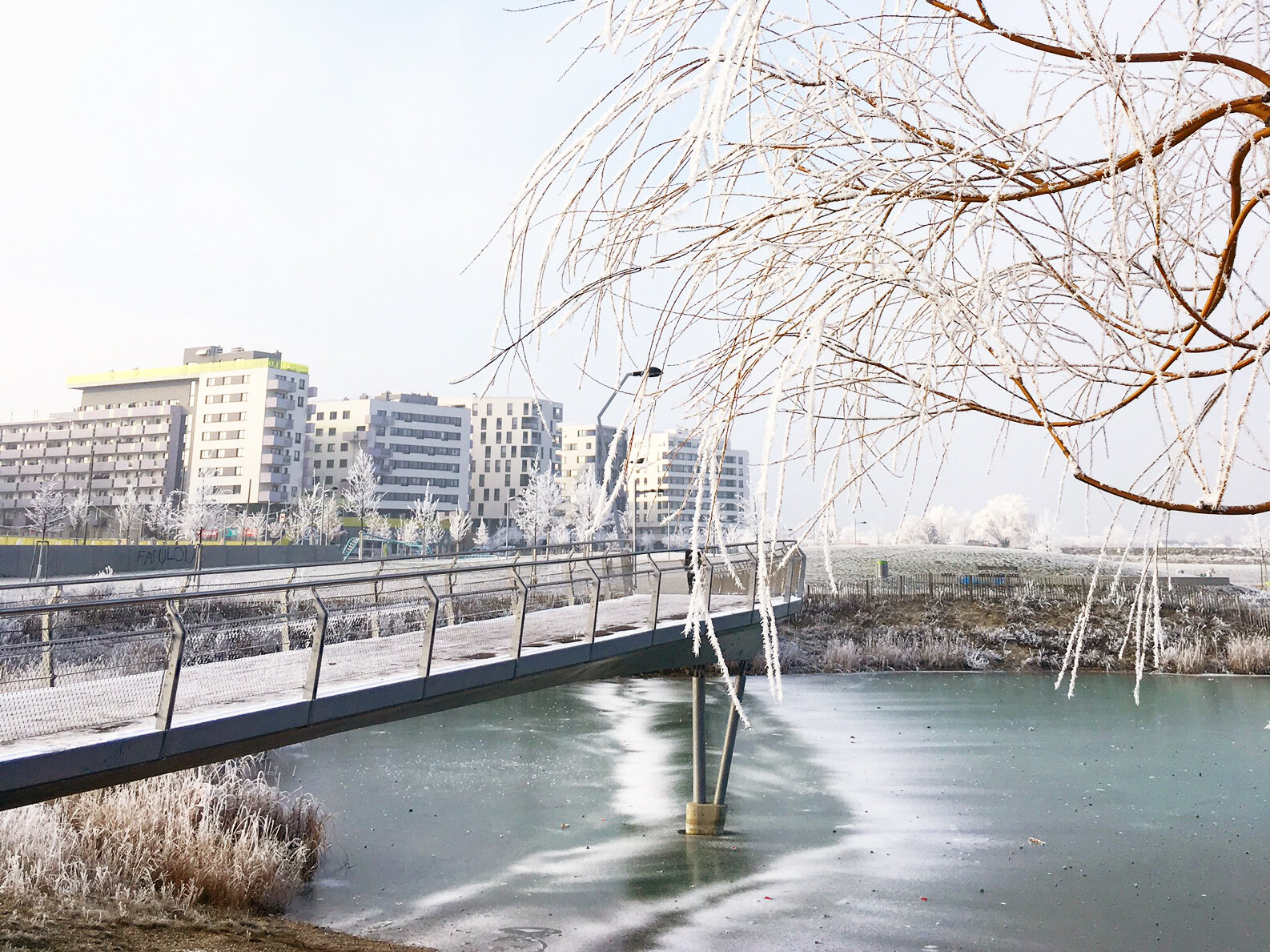Eislaufen am See nicht erlaubt!