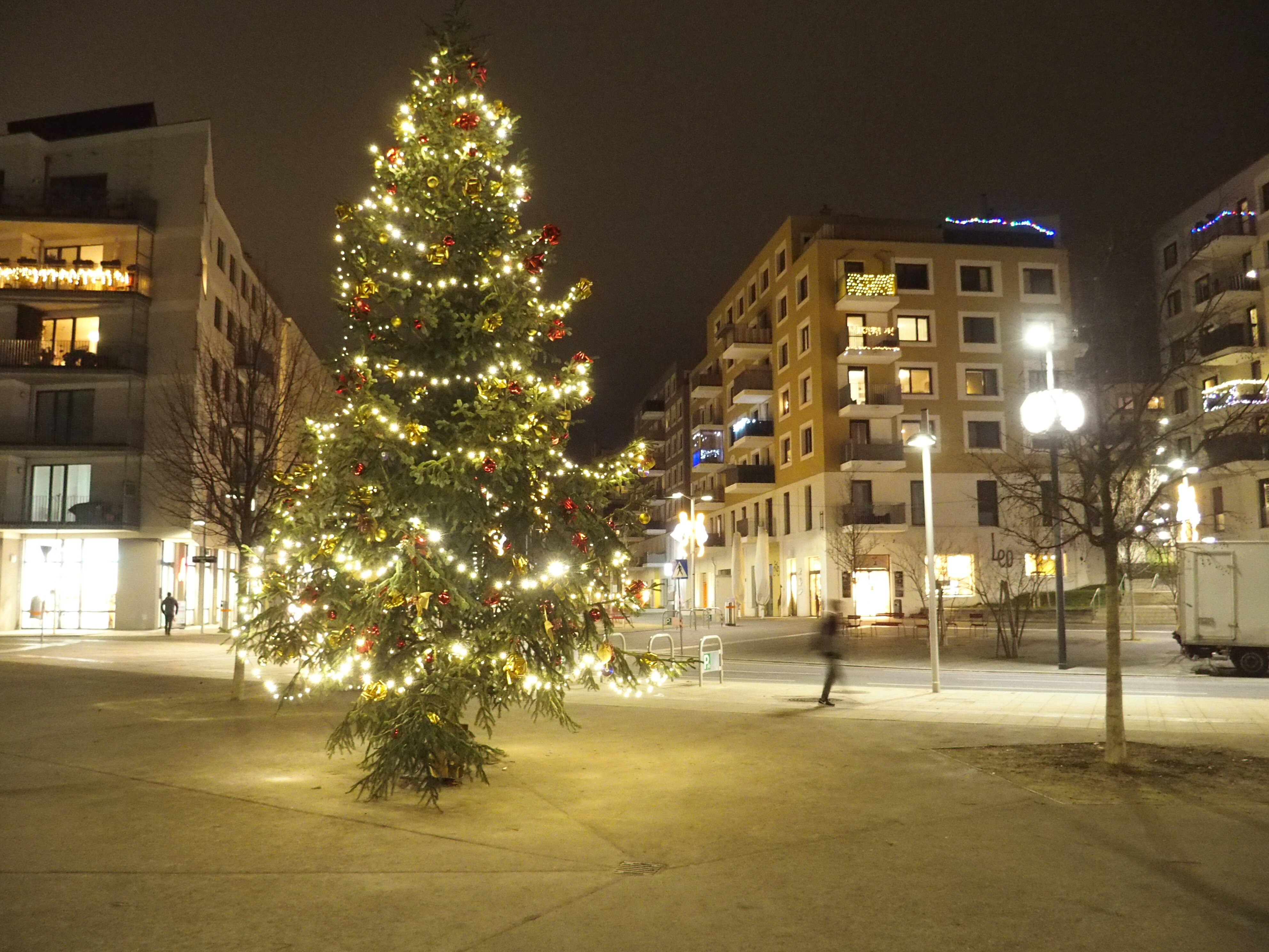 Seestadt in Bildern - vorweihnachtliche Impressionen