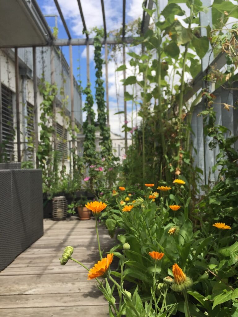 Das Bild einen Balkon mit Rankgittern und vielfältiger bunter Bepflanzung.