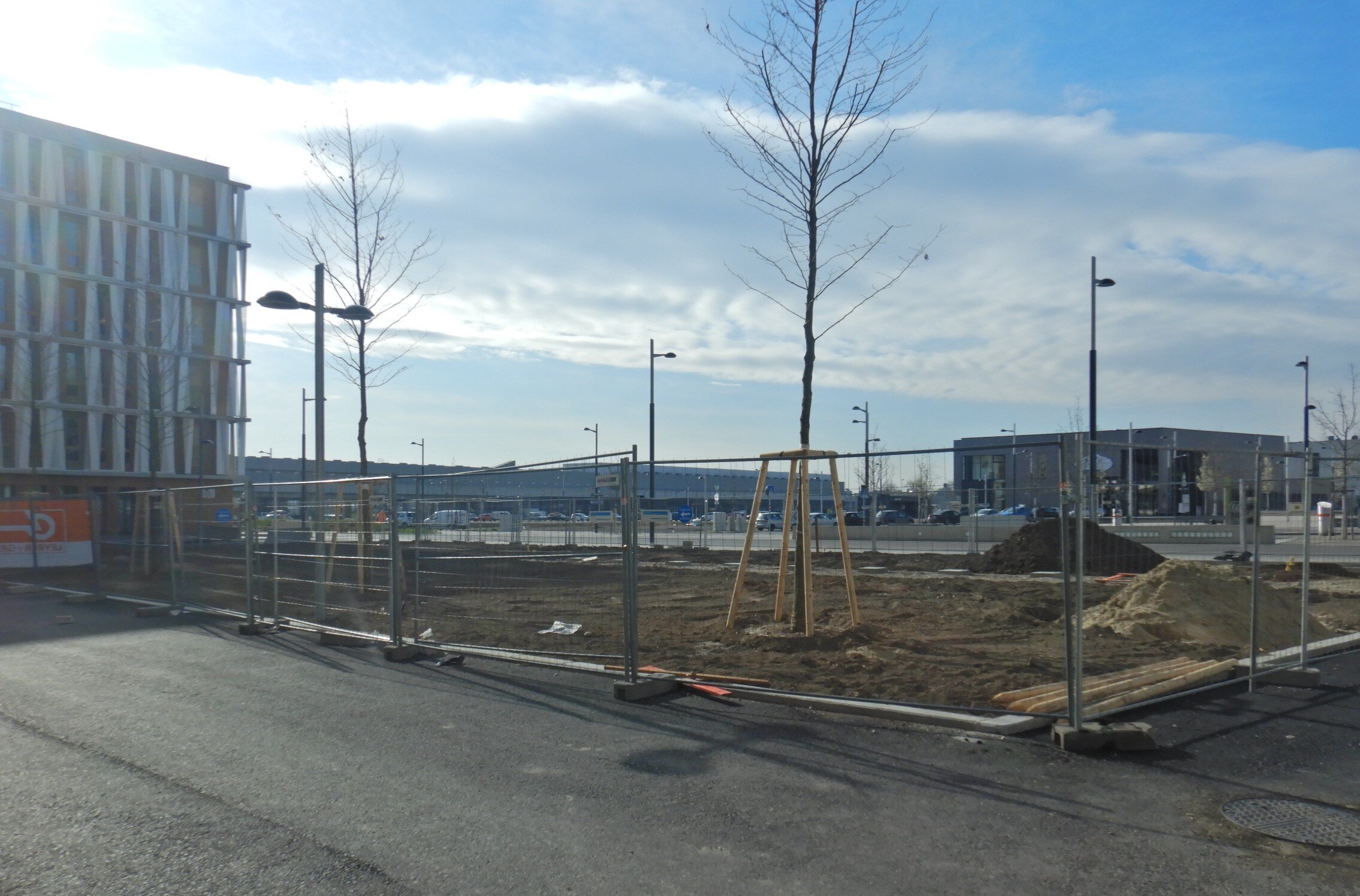 Baumpflanzungen im Seeparkquartier