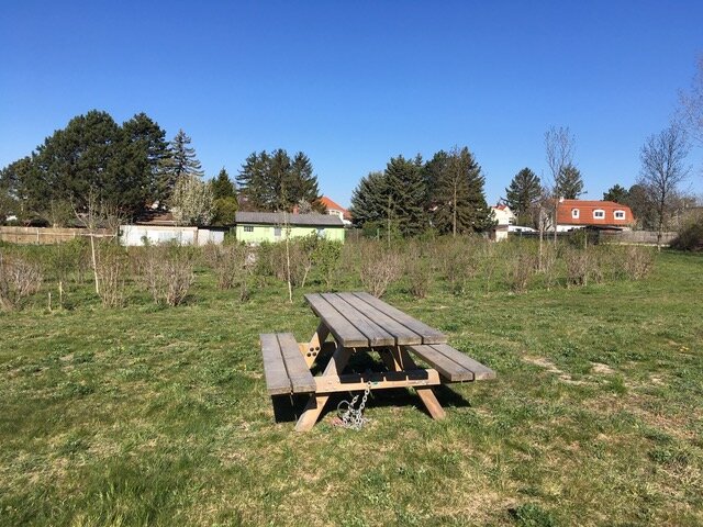 Rastplatz beim Labyrinth