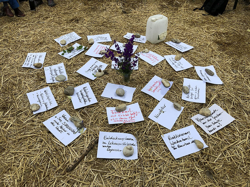 Landeplatz Seestadt – grüne und essbare Projekte im Landeanflug!