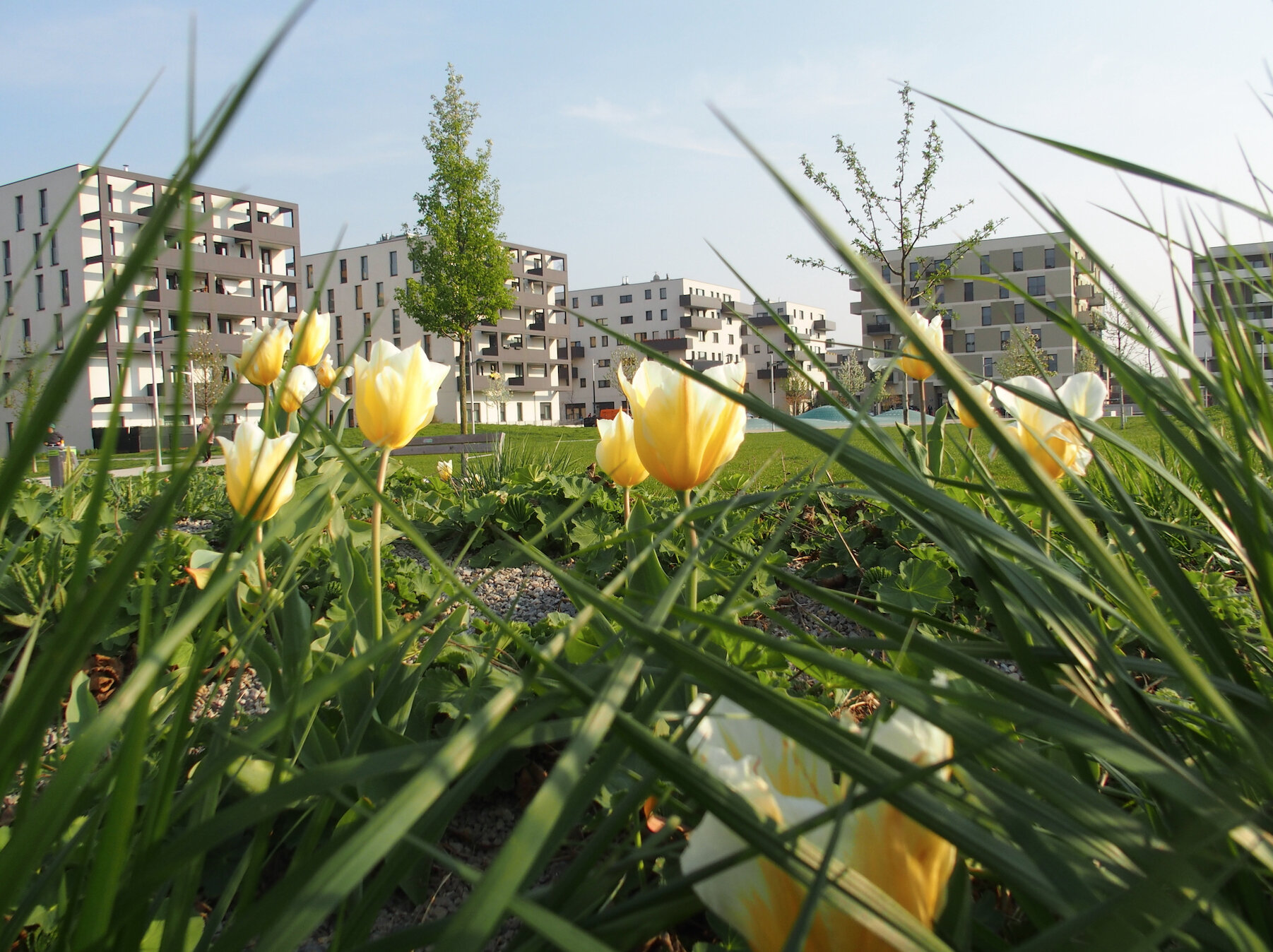 Name gesucht - bitte jetzt voten!