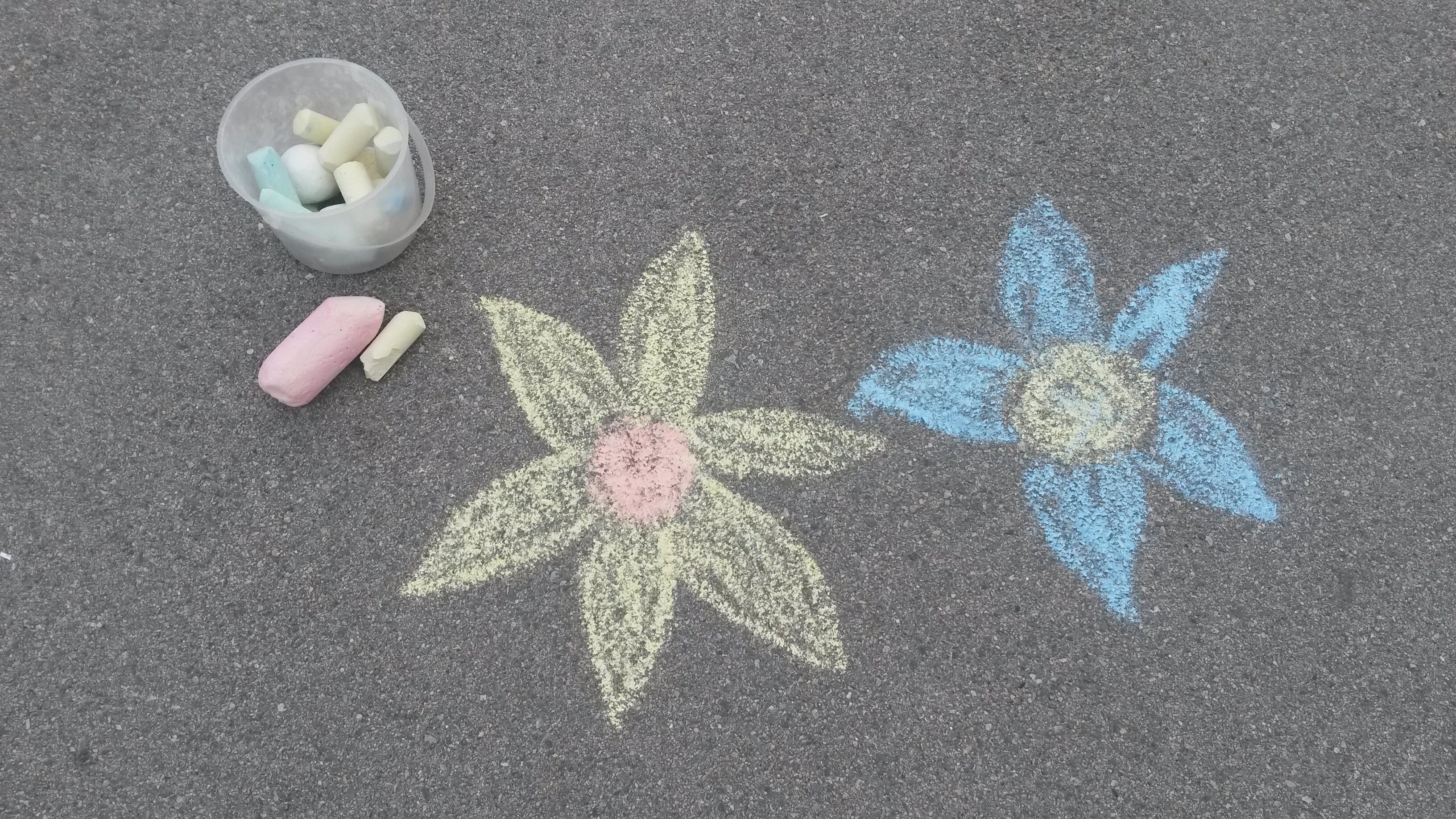 Die Seestadt kocht auf - picknicken Sie mit!