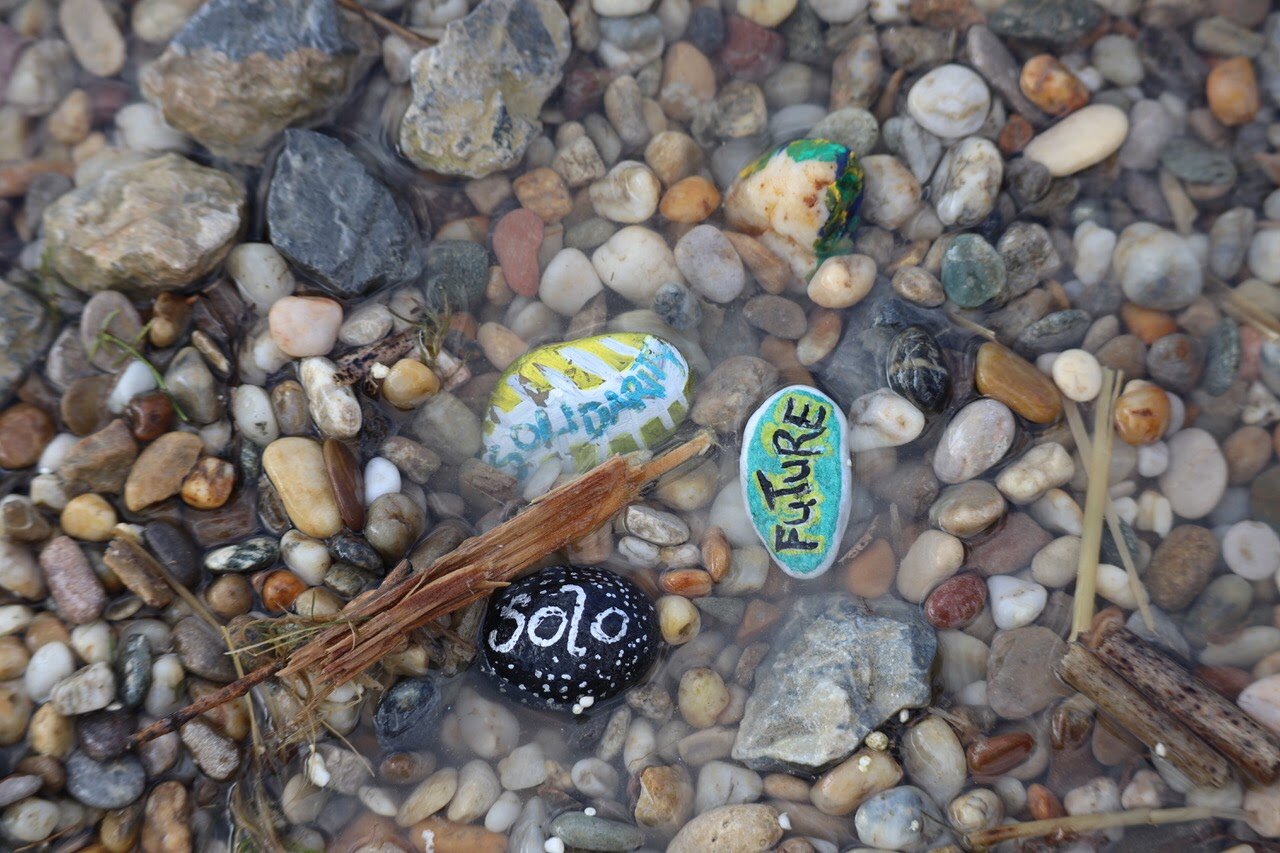 Intervention vom 12. Juni 2020