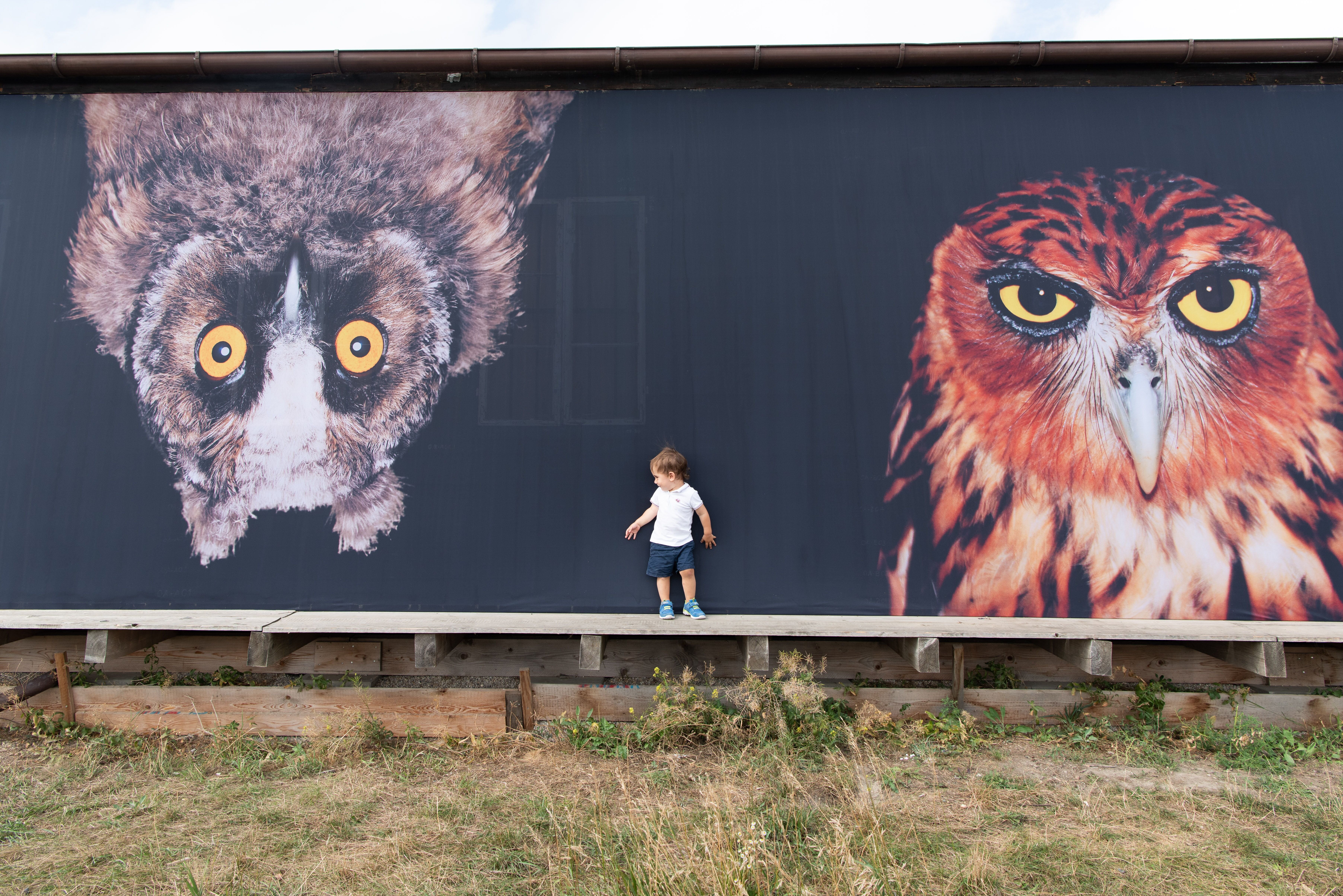 Abbau der Notgalerie