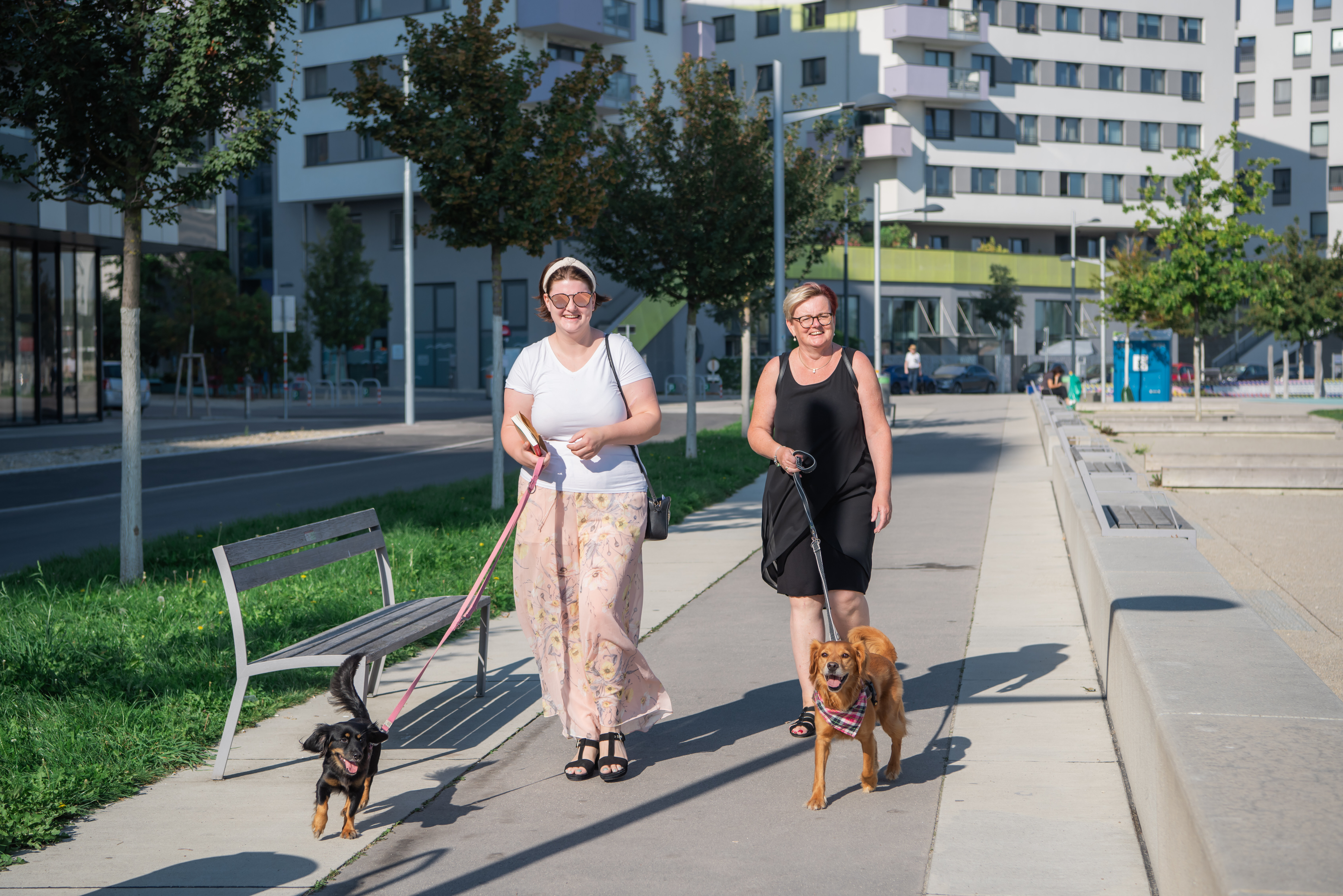 zwei Damen die mit Hunde spazieren gehen
