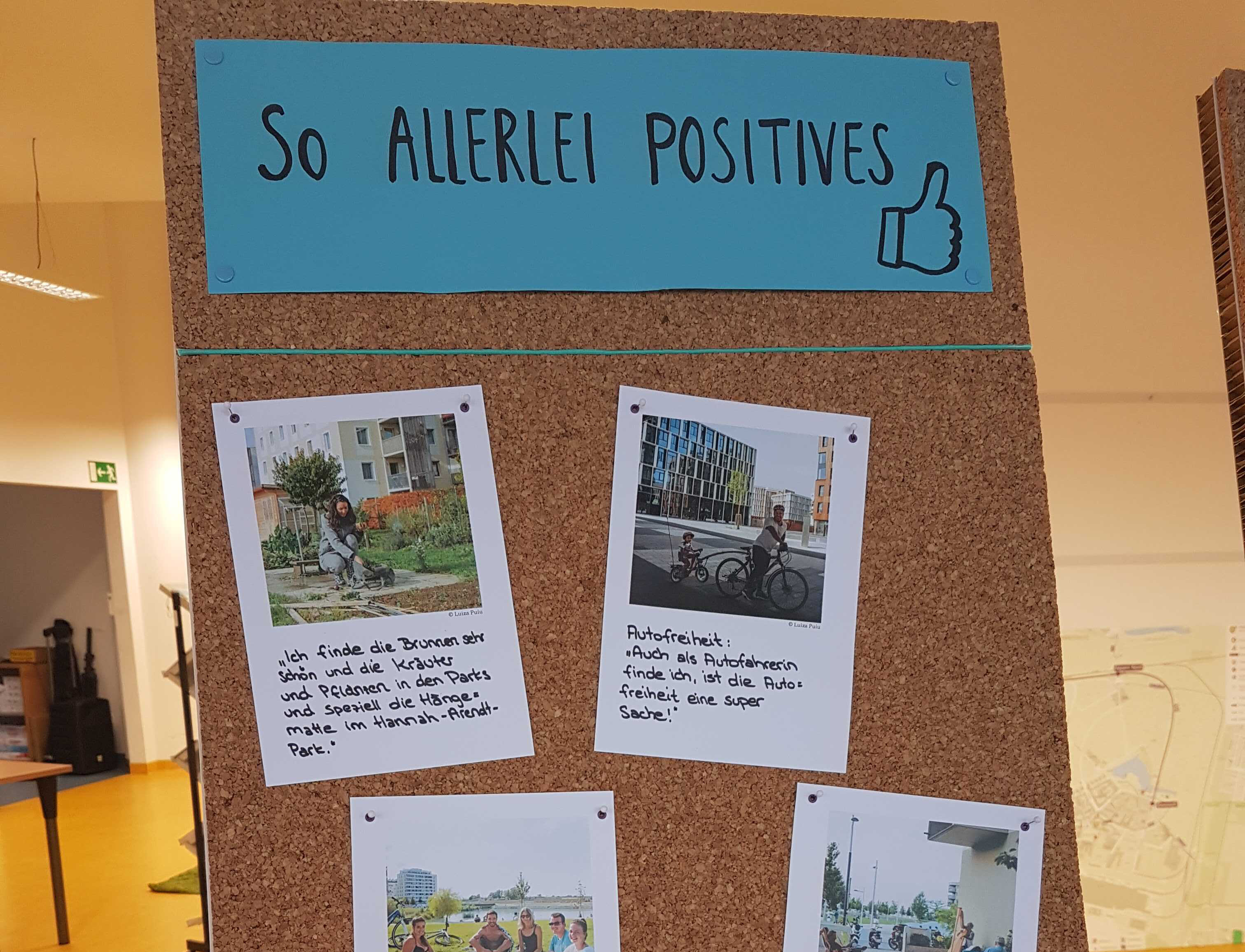 Positives aus der Seestadt