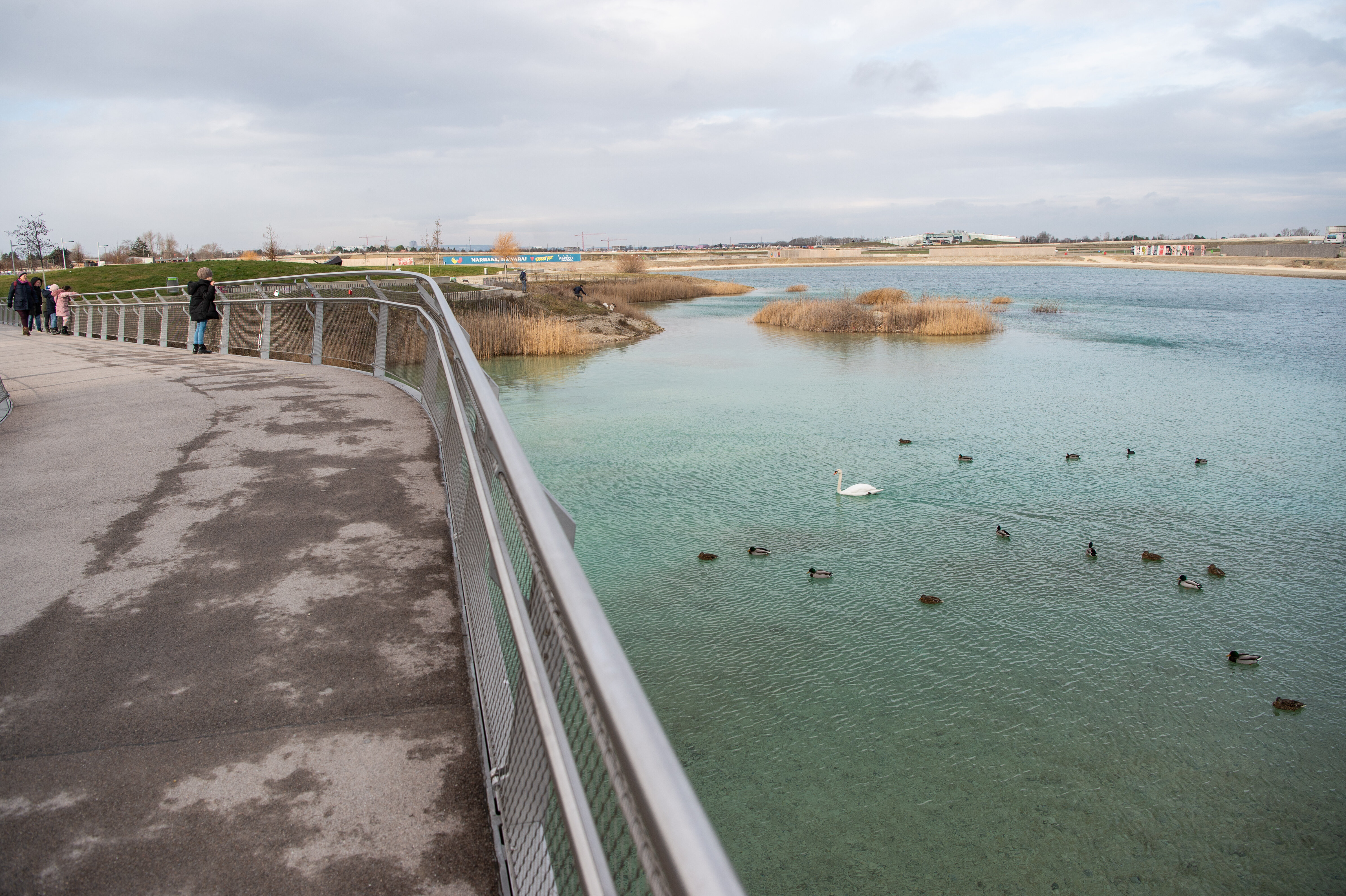 Bitte nicht Eislaufen und Enten füttern