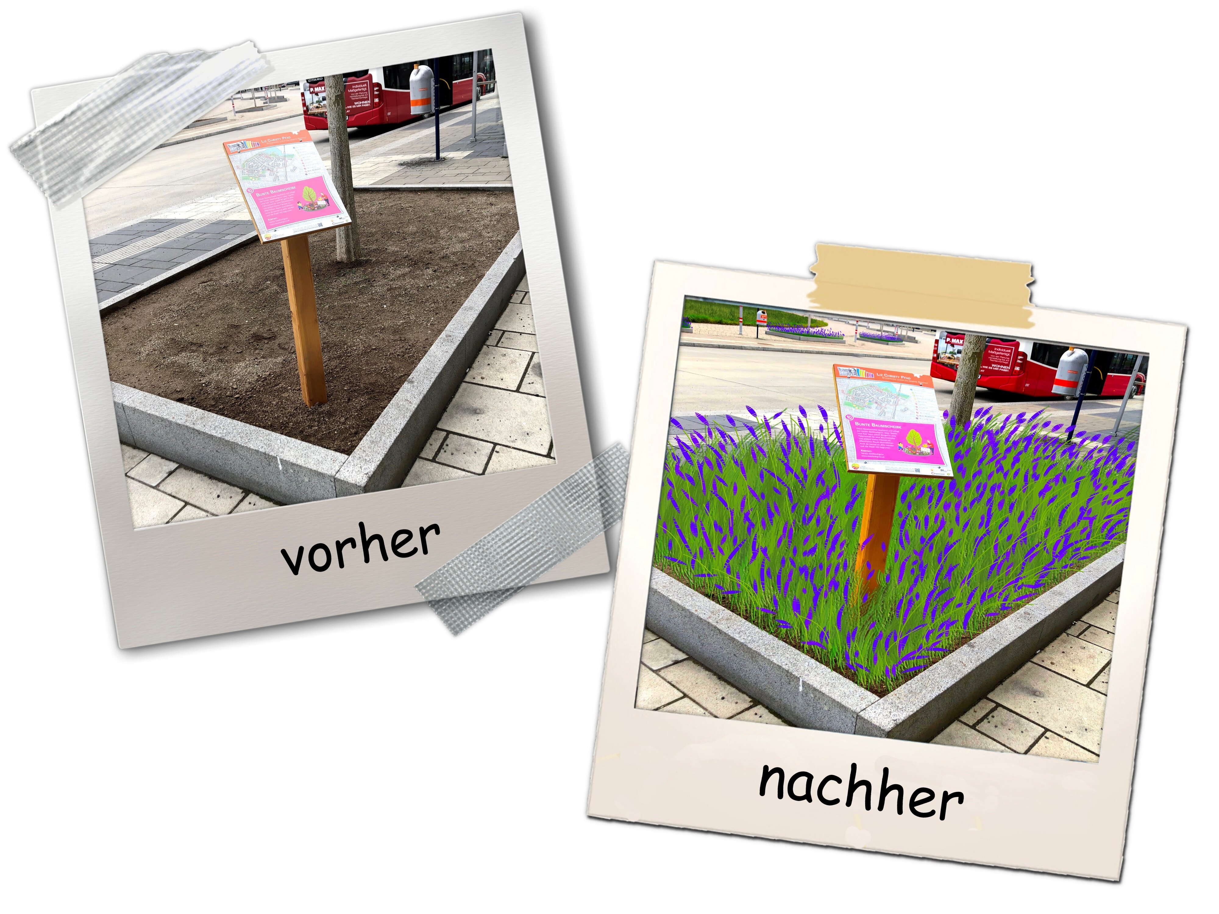 Mehr grüne Oasen für die Seestadt