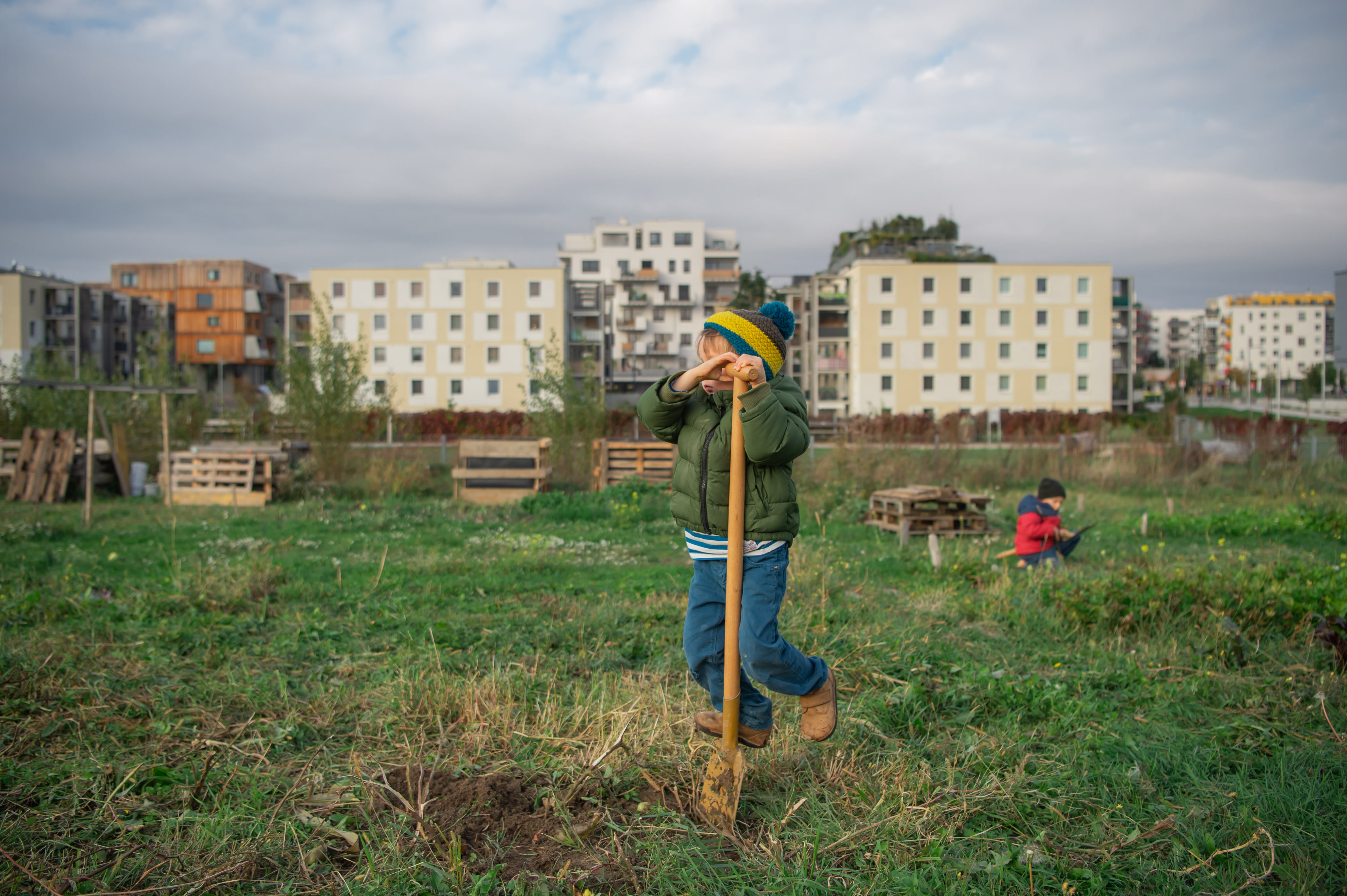 Garteln und Begrünen in aspern Seestadt