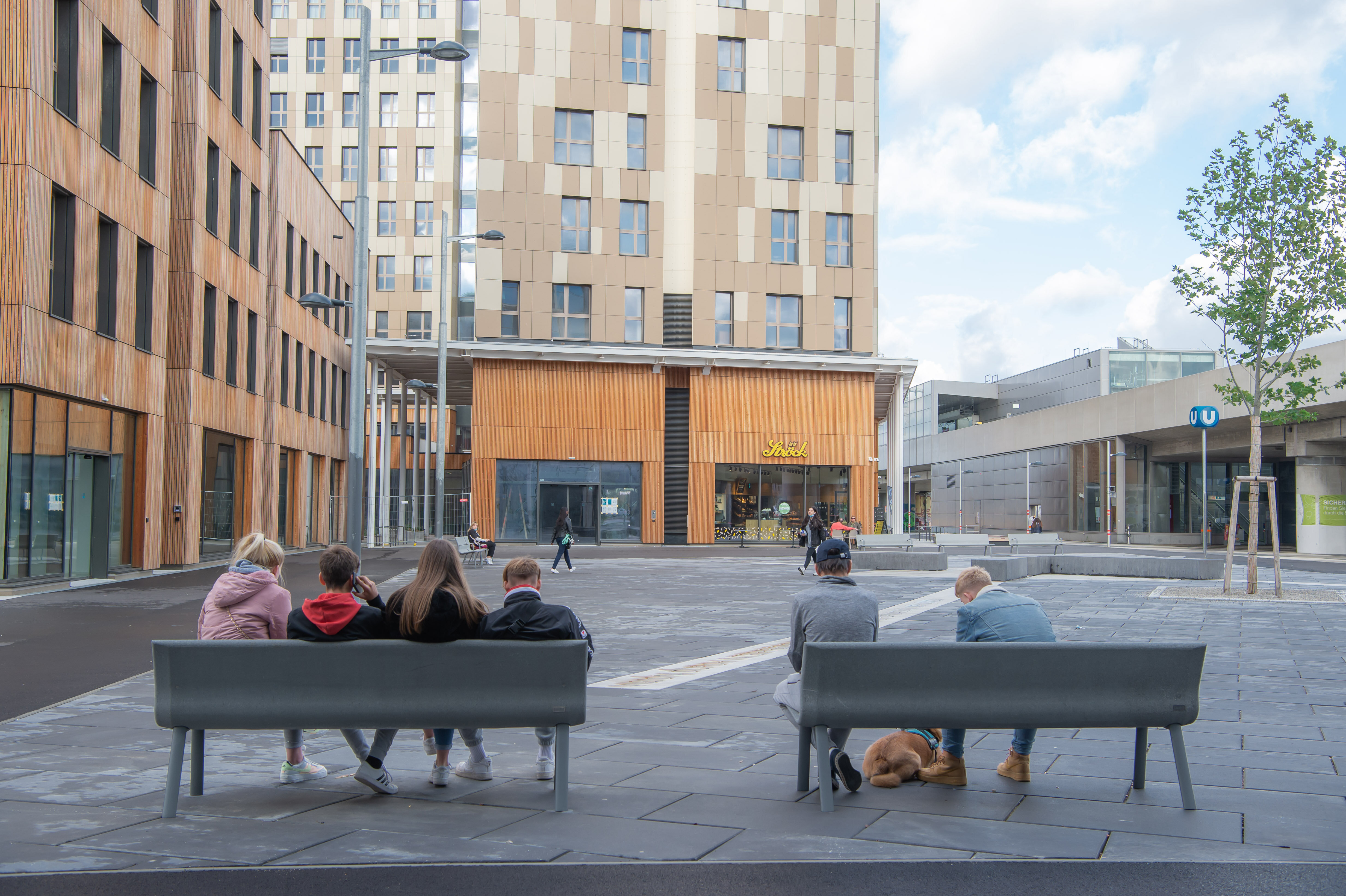 Wangari-Mathhai-Patz in der Seestadt