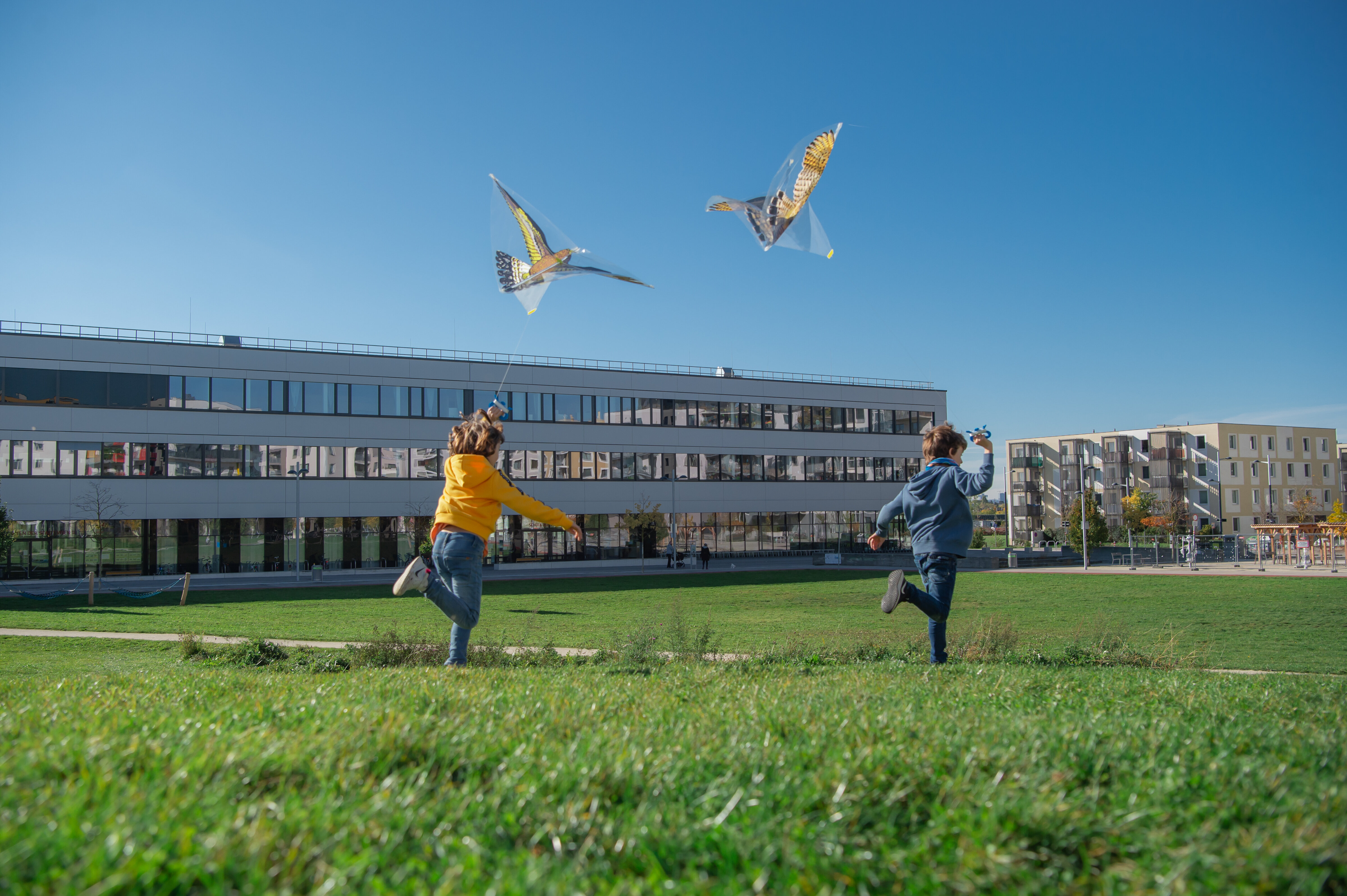 Wir lassen die Drachen steigen! - Nachbarschaftswoche